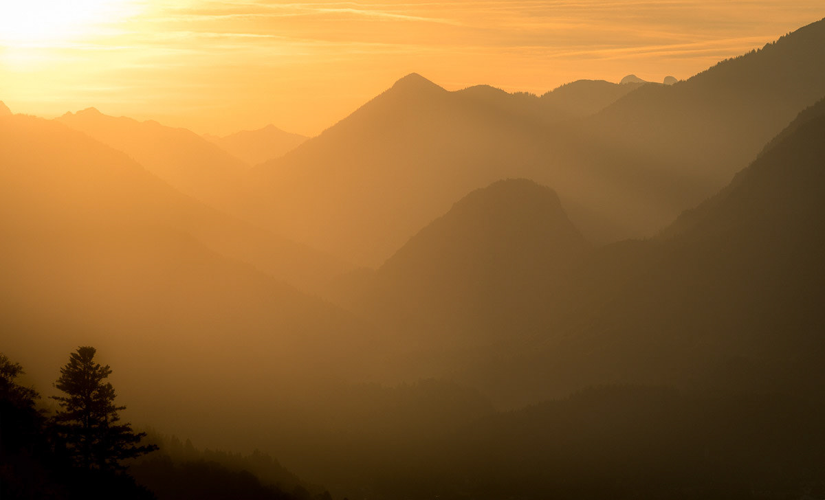 Goldenes Licht, ein Teleobjektiv und entwas Nebel.