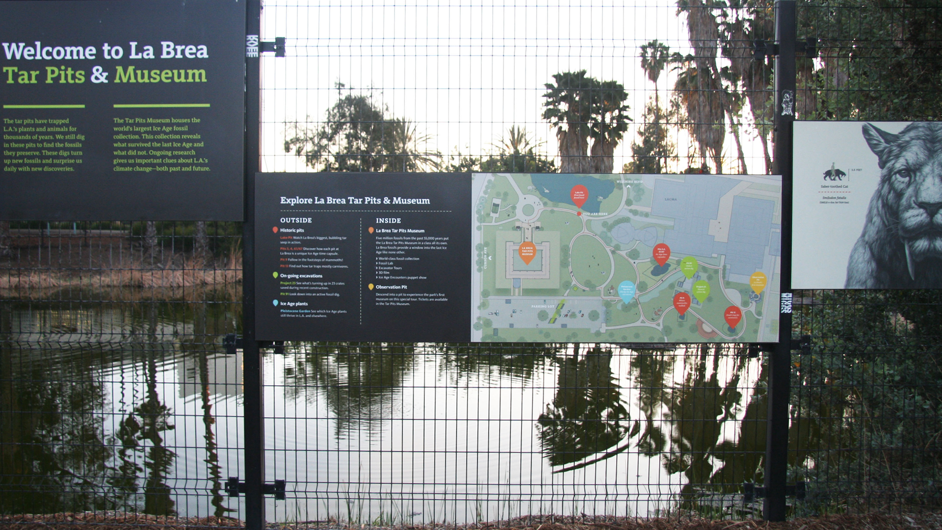 La Brea Tar Pits - A Surprising Find in the Heart of Los Angeles