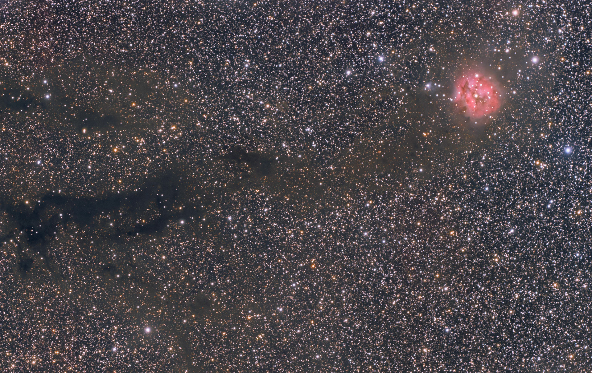 Cocoon Nebula