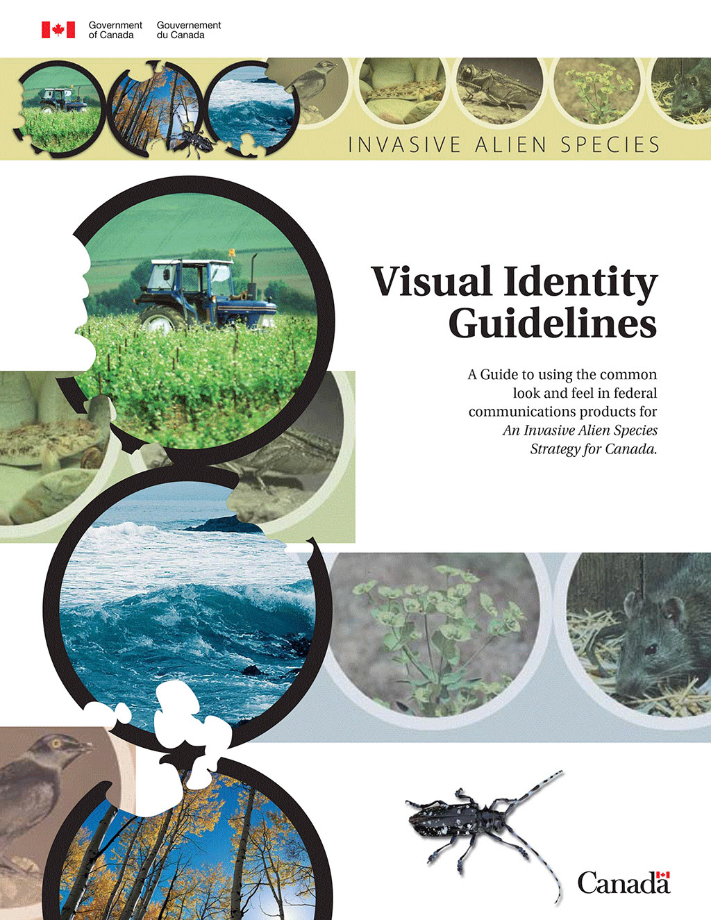 IAS Style Guide.qxd
