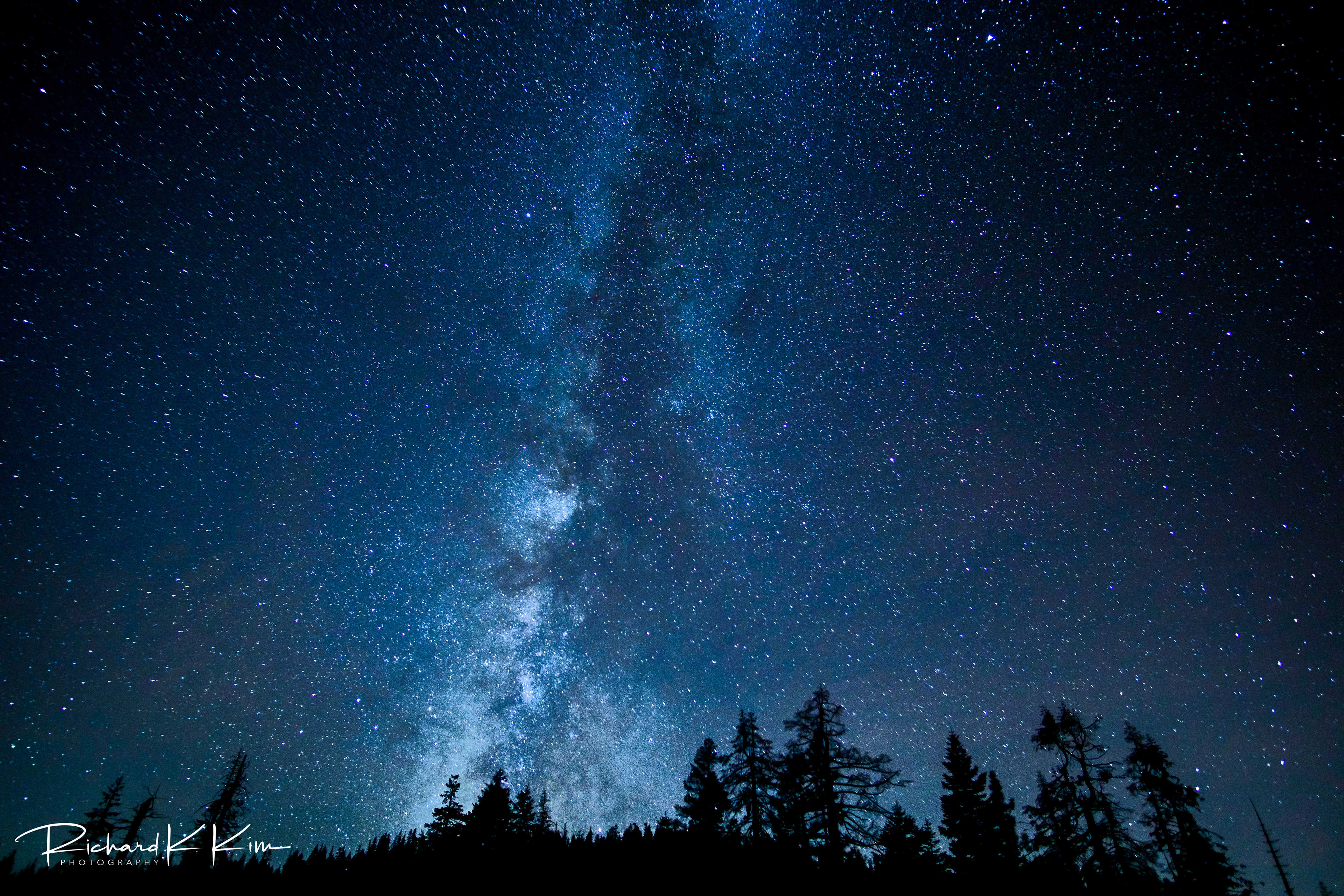 Yosemite National Park, CA