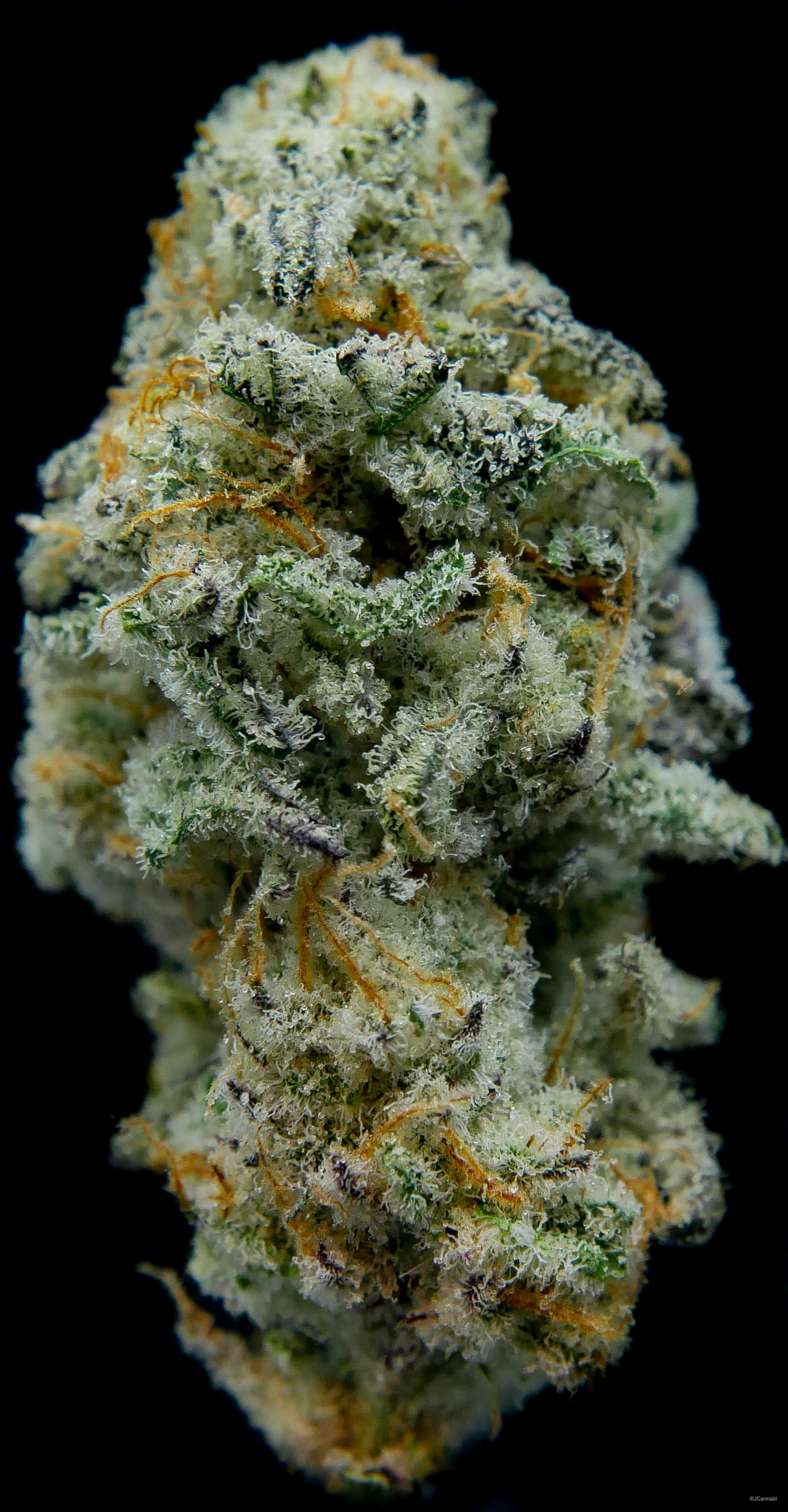 Miracle Alien Cookies #1 (Dank by Pank)