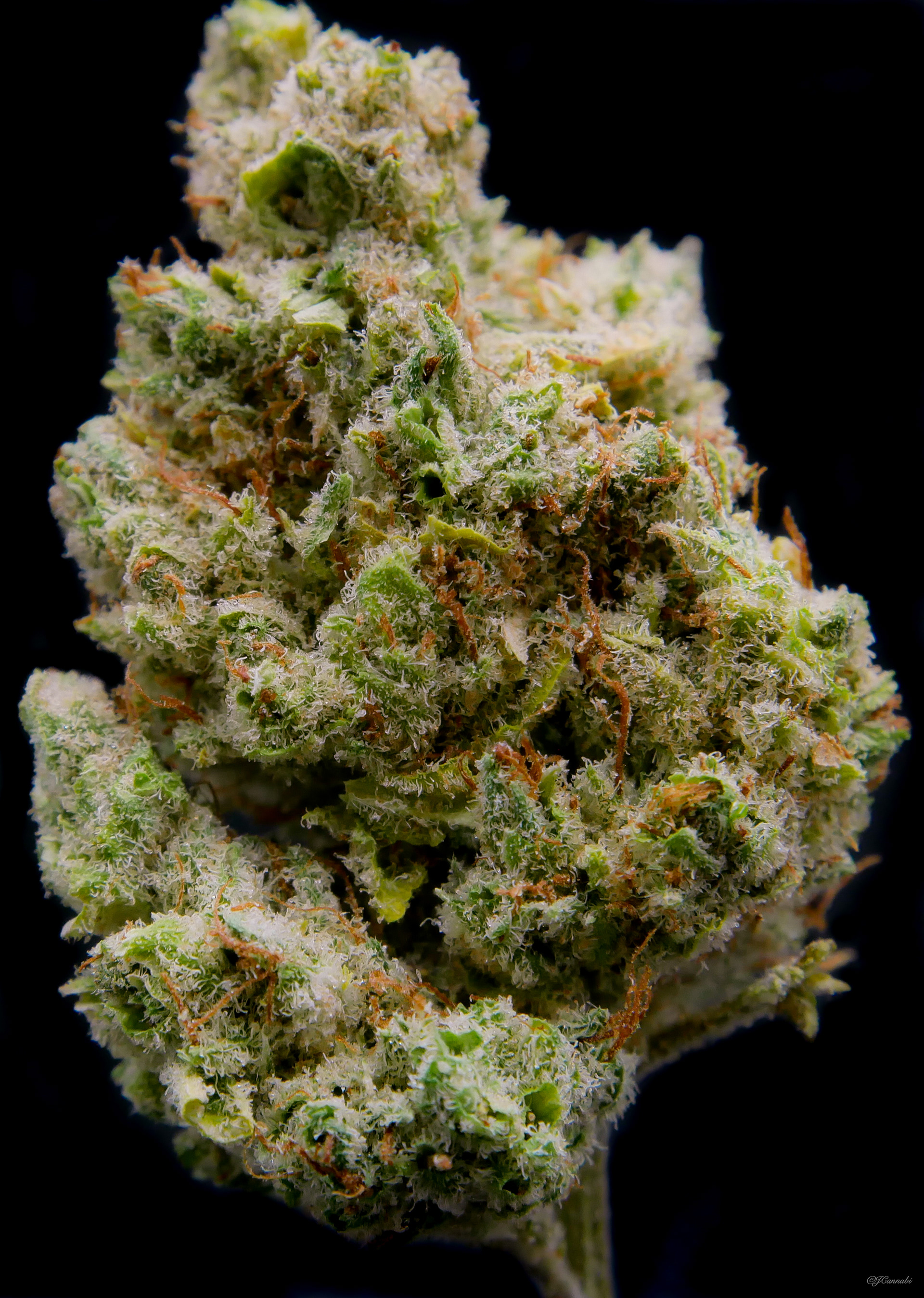 Cuerno Verde (Monte Fiore)