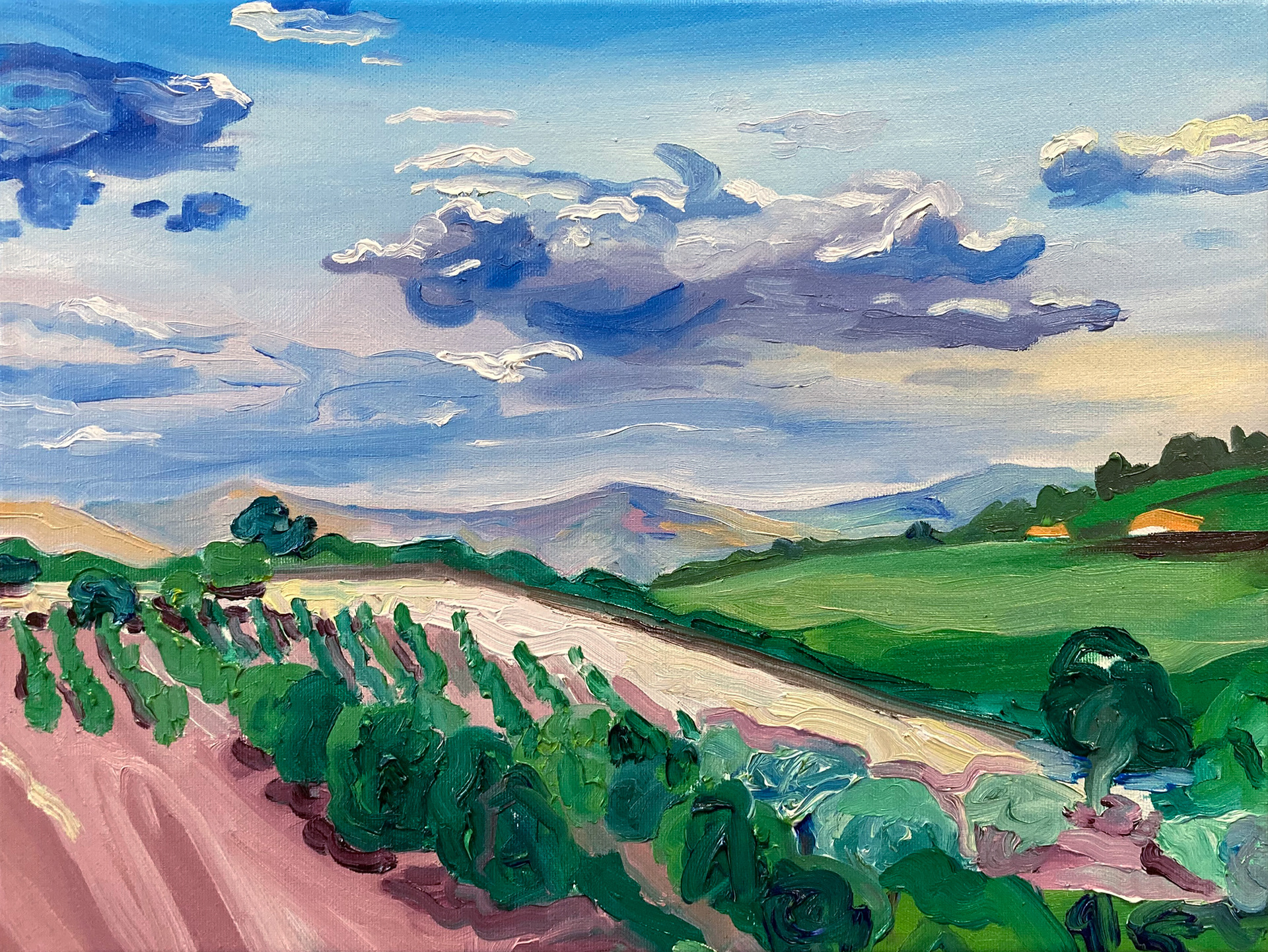 Douro II, oil on canvas, 30 x 40 cm