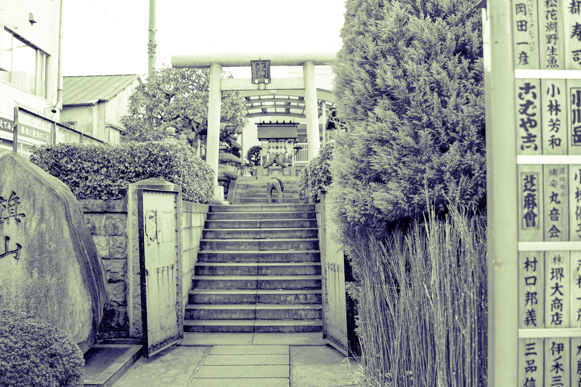 35mm 1/160s f/3.2 ISO 3200