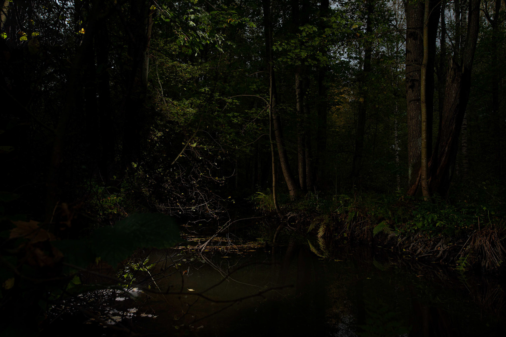 Helsinki 00360. Series Amazing Nature, 2020-