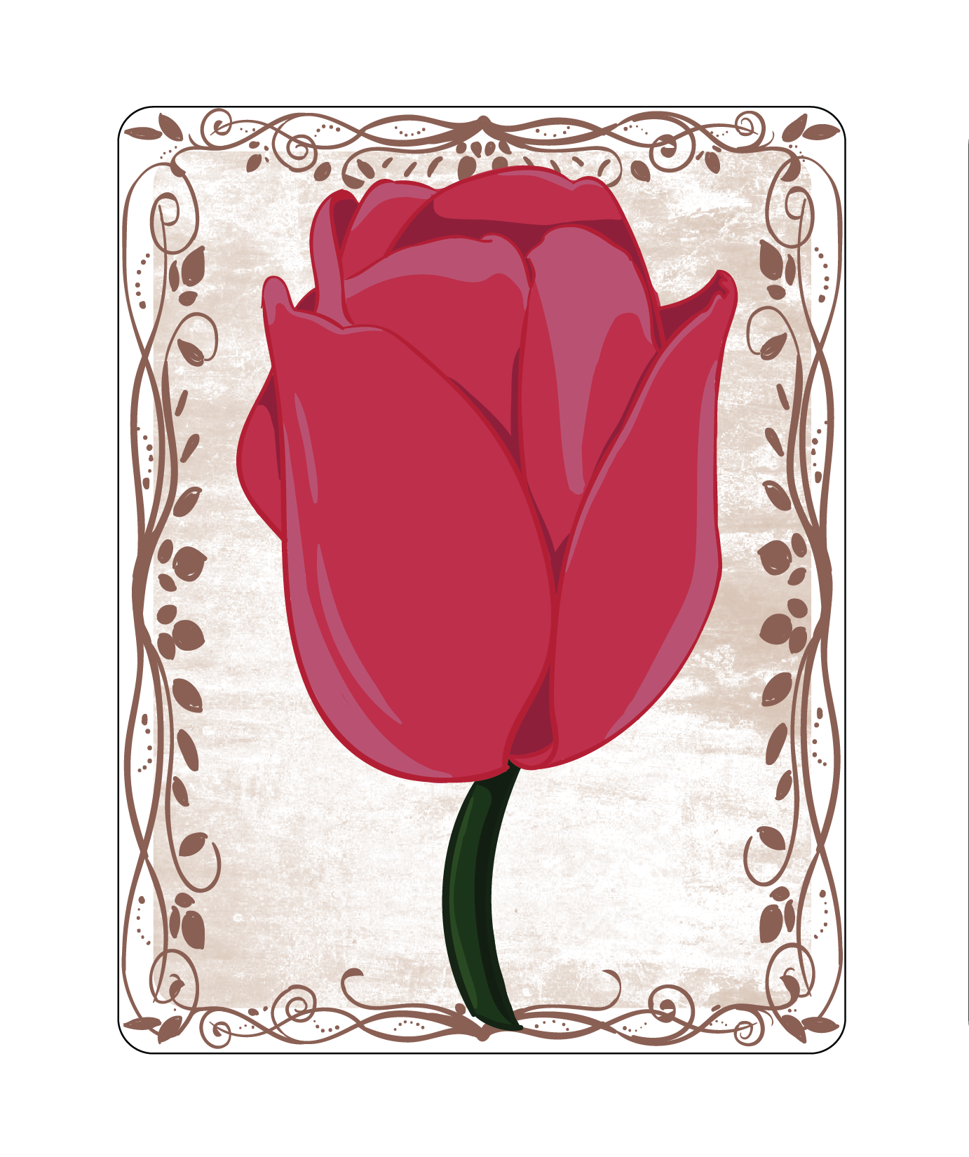 Tulip