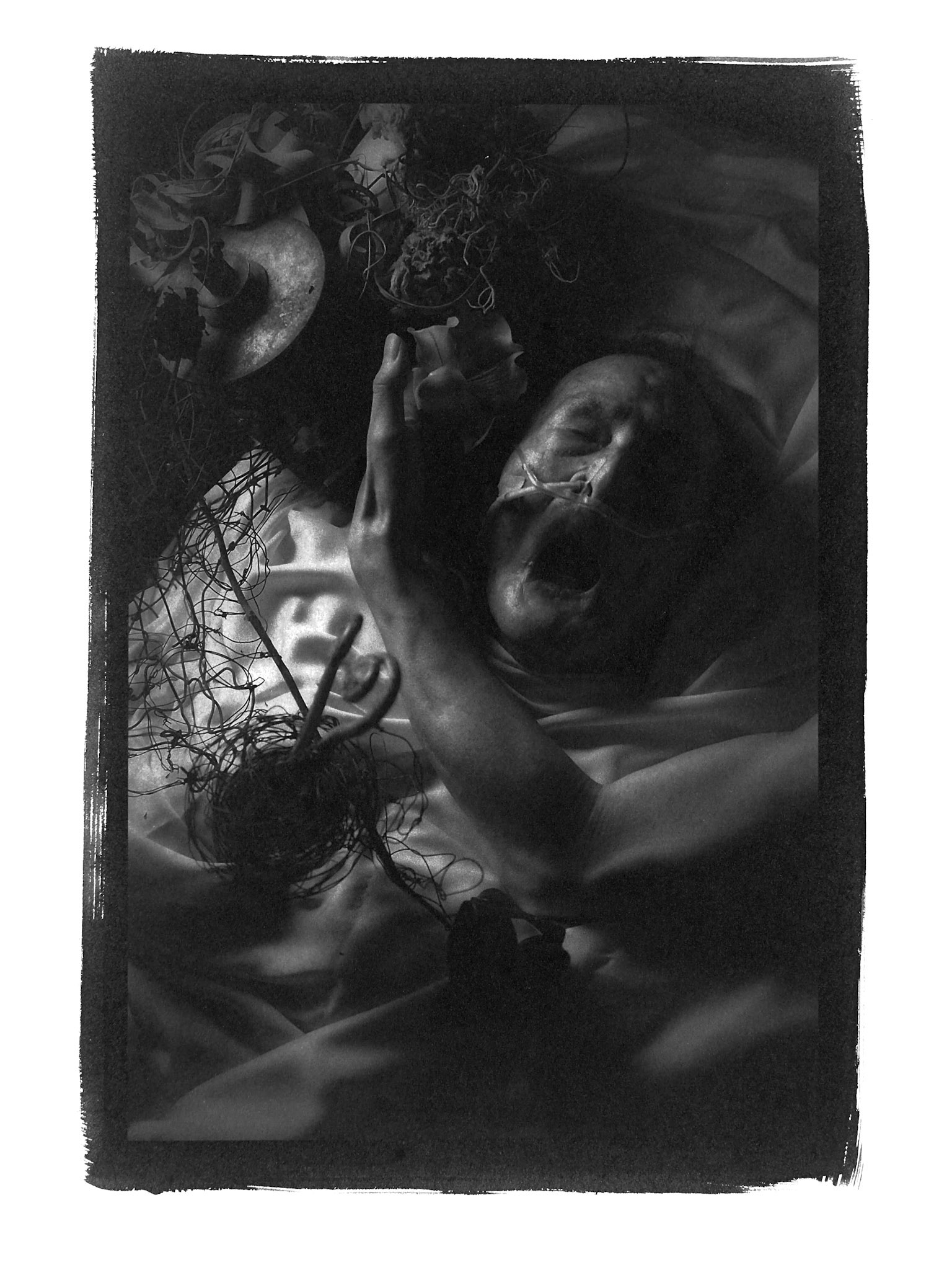Series LAST DANCE OF KAZUO OHNO