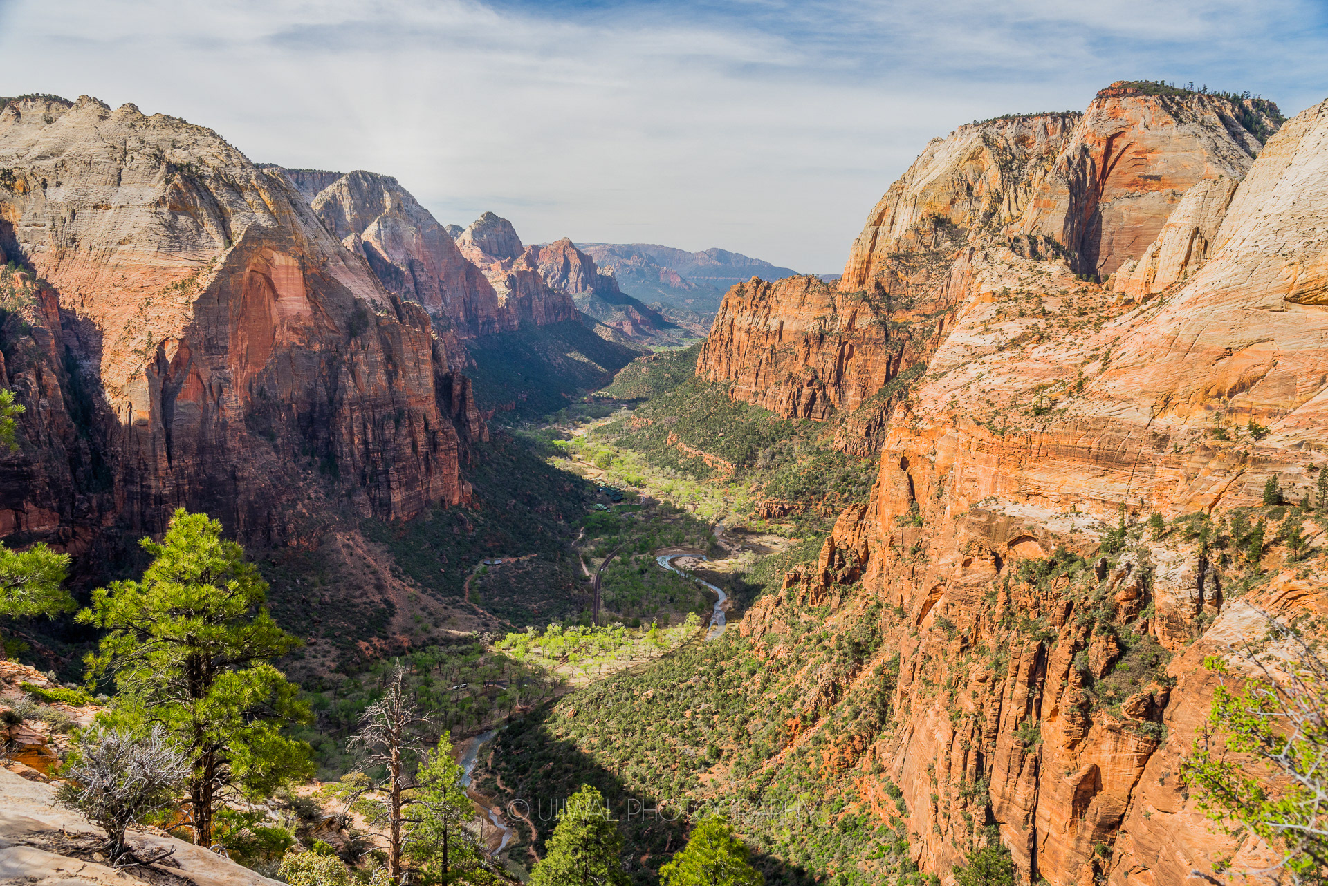View of Canyons from the top of Angels Landing at Zion National Park USA