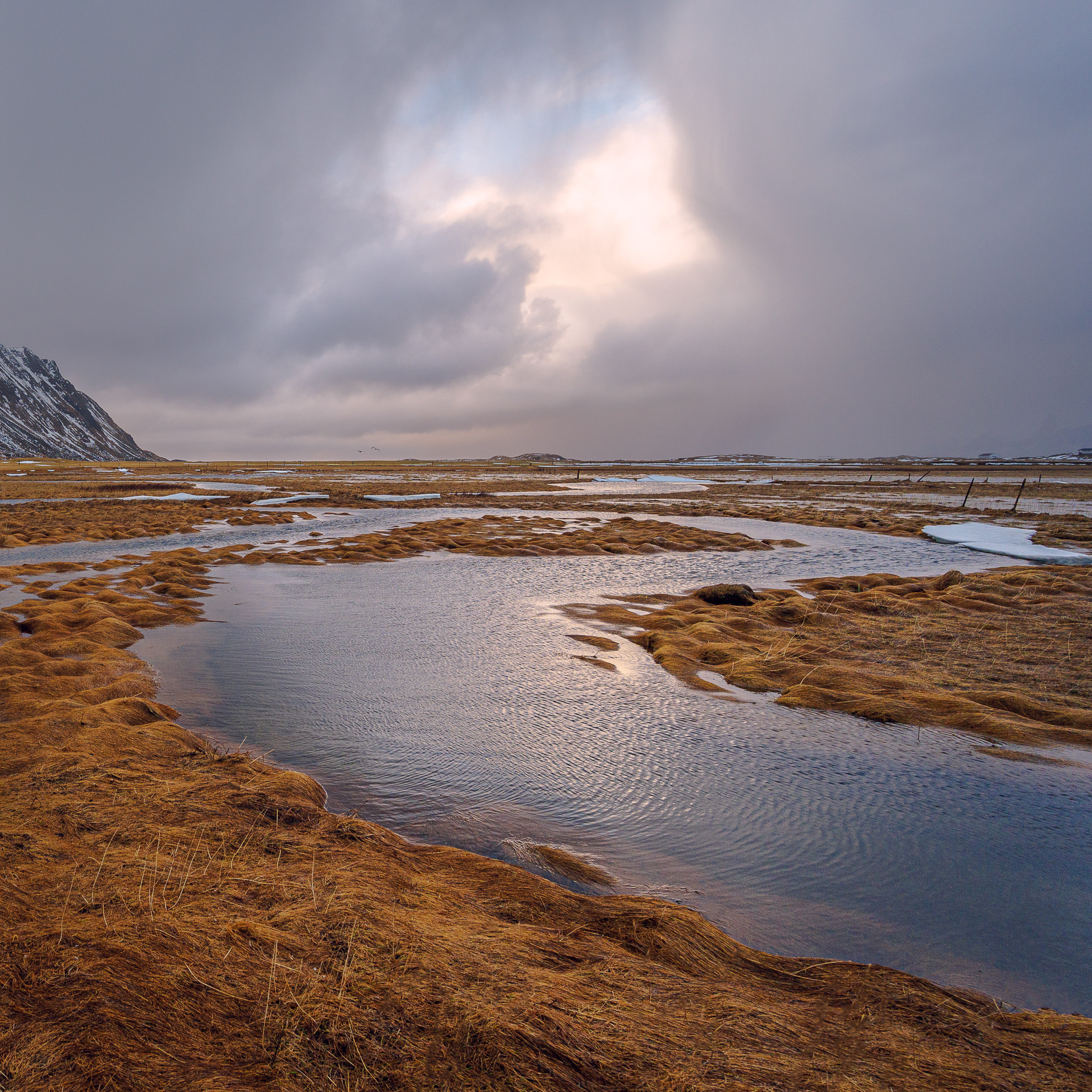 Lofoten