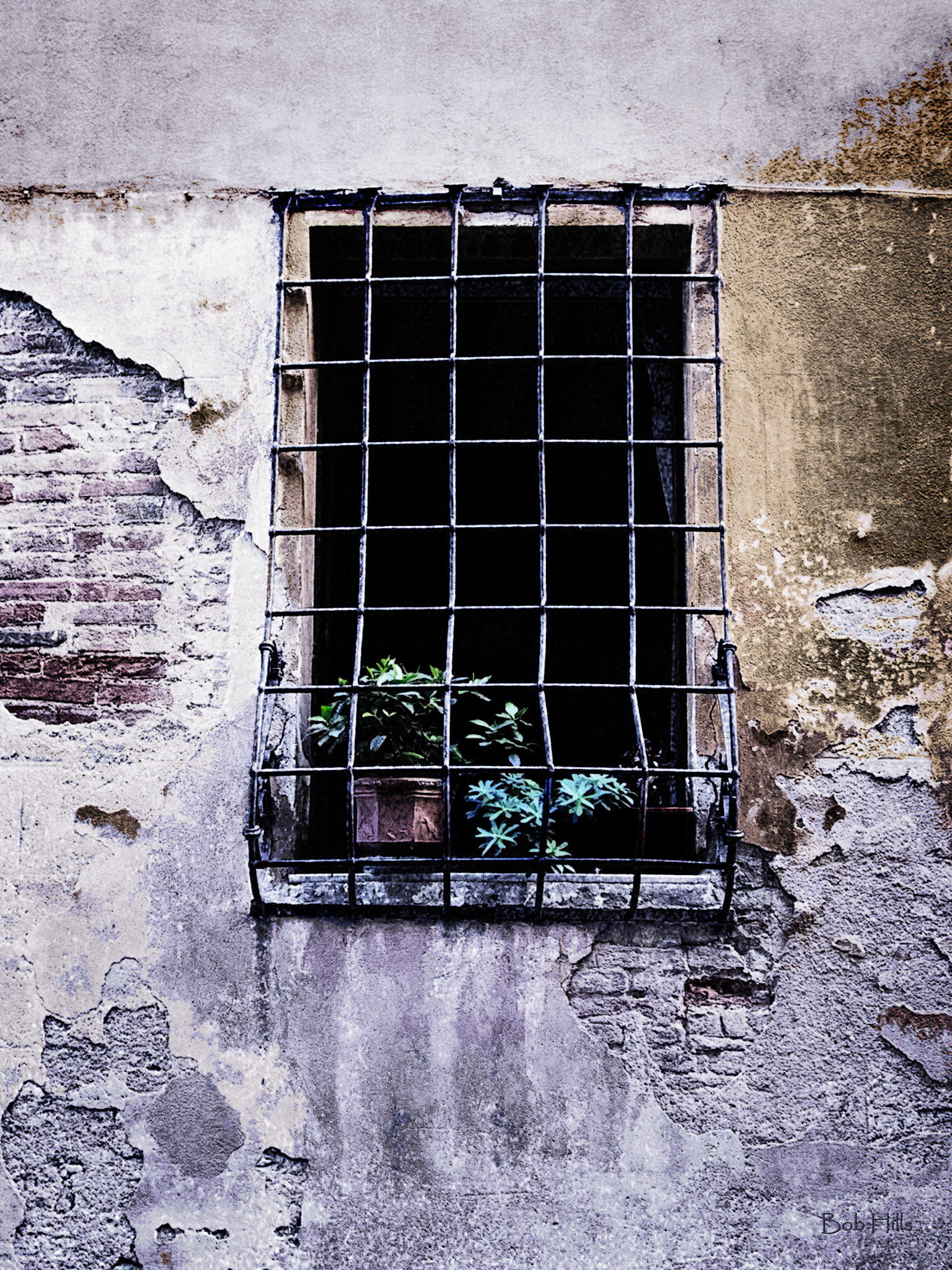 Sienna Window