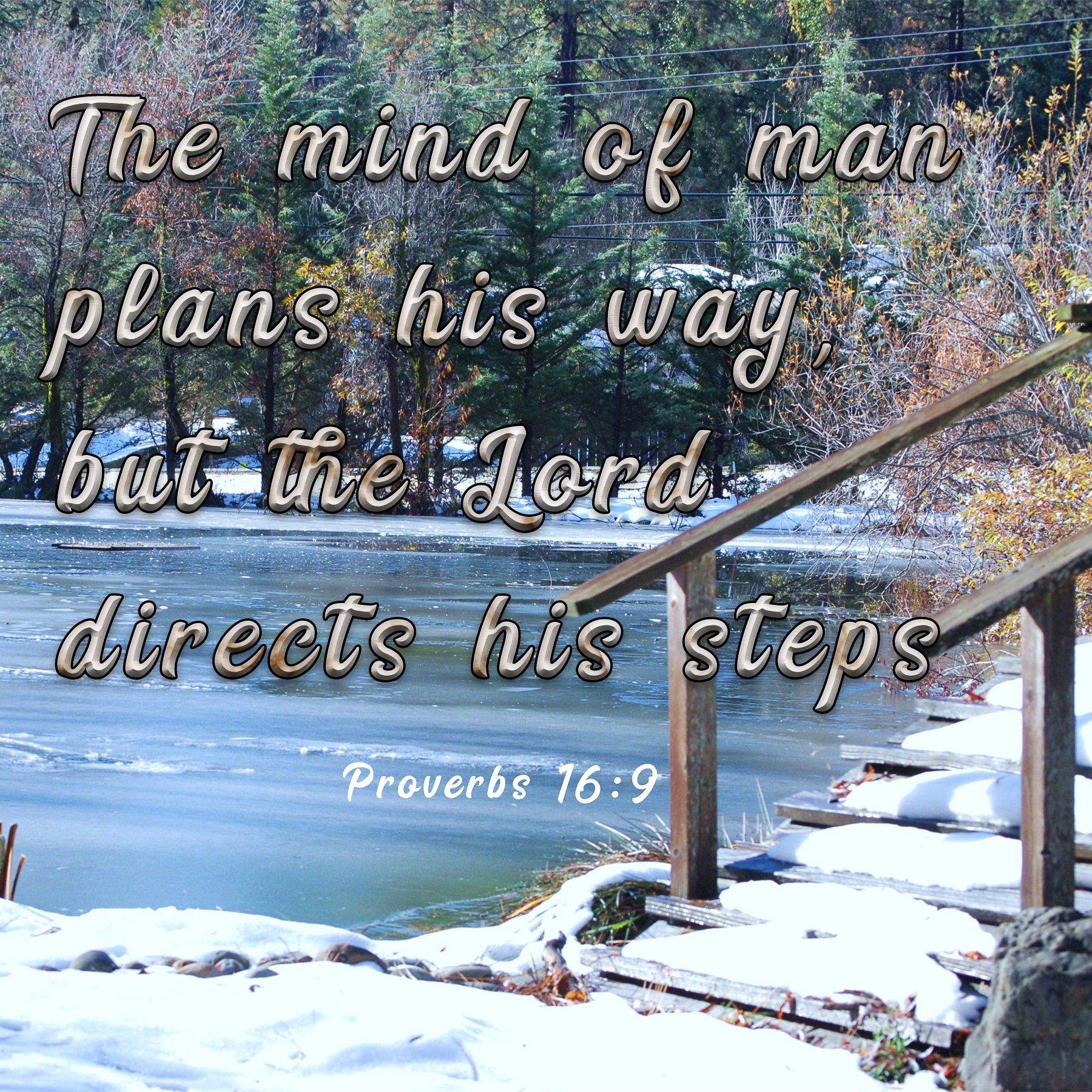 Direct Our Steps