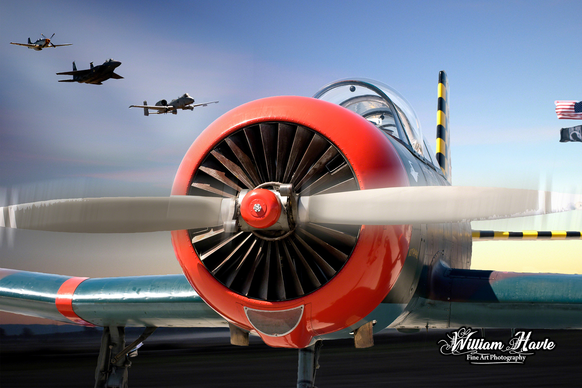 Mustang Fighter Airplane