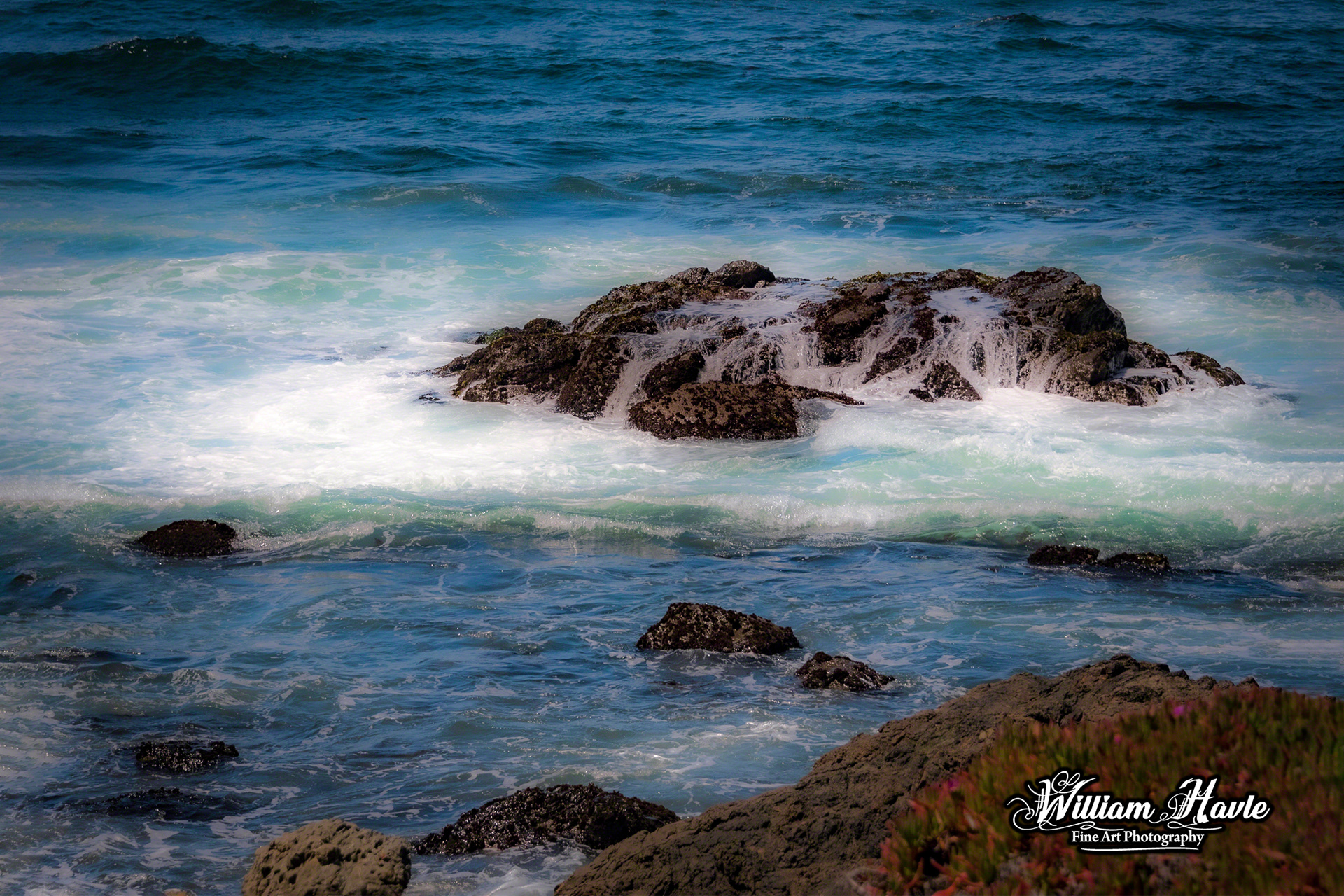 Pacific Beauty