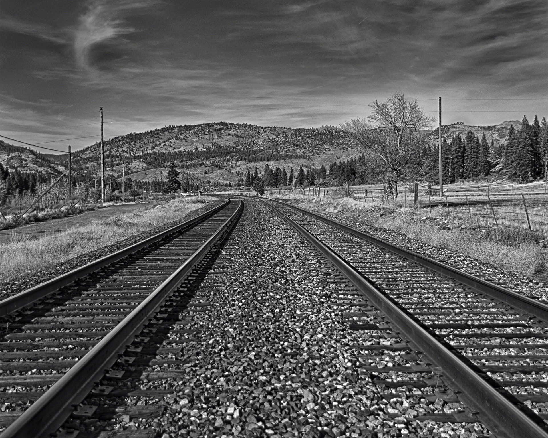 Dueling Tracks
