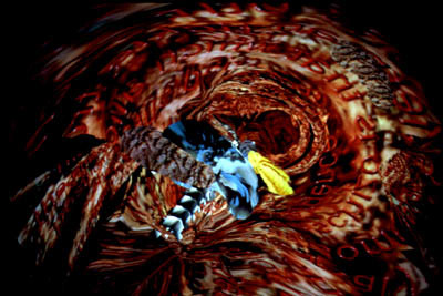“Building Myself a Body w/o Organs” VR installation in Hemispherium™ Environment, The Virtual Reality and Innovation Centre, The University of Teesside, Middlesbrough, UK