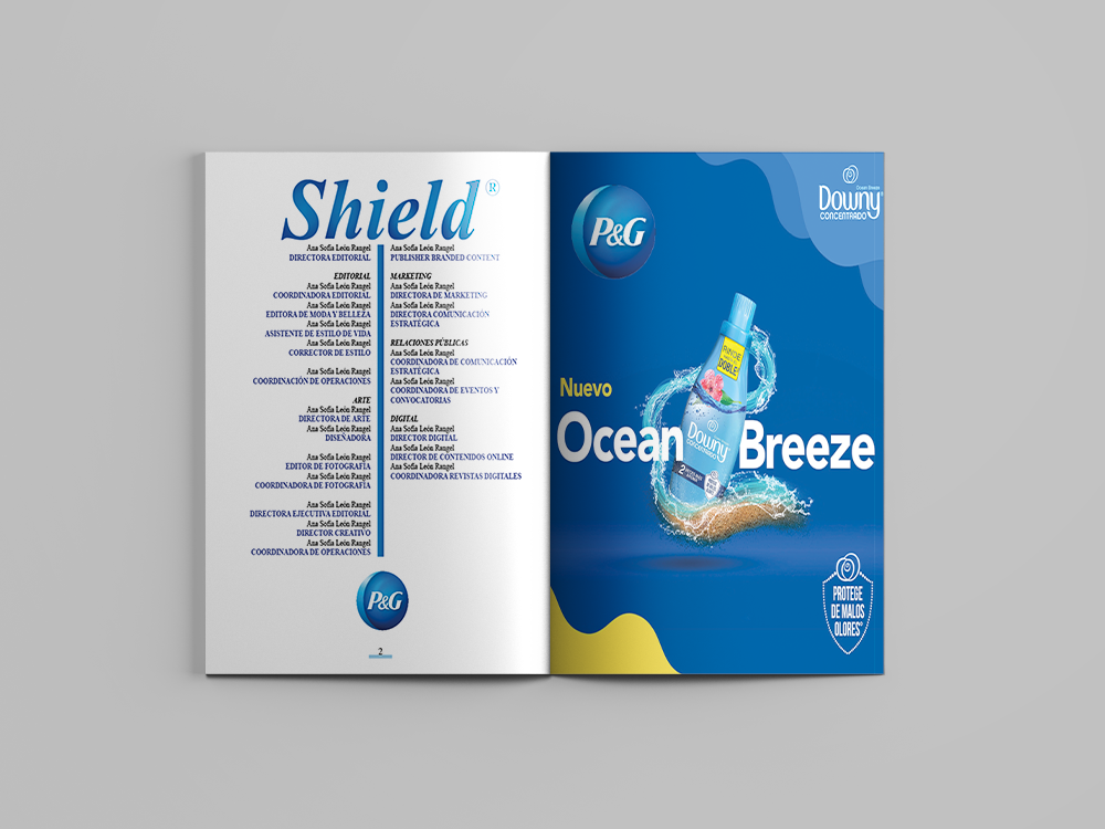 Revista Corporativa P&G.