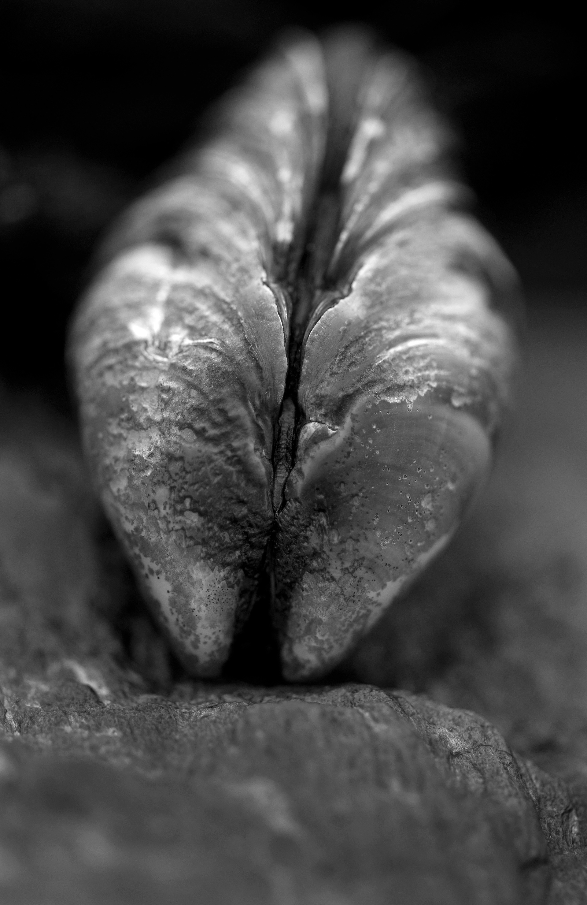 Four Corners (69). Archival pigment print on Arches 88