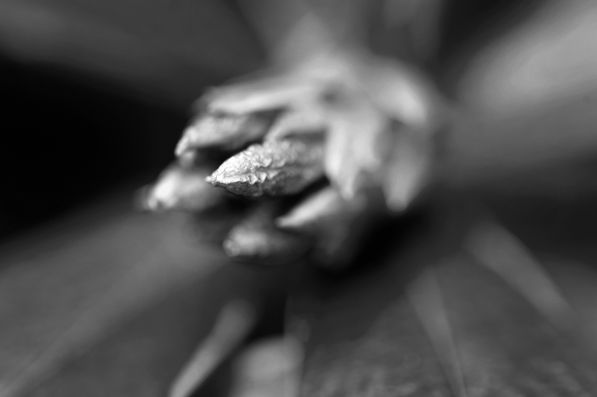 Four Corners (34). Archival pigment print on Arches 88