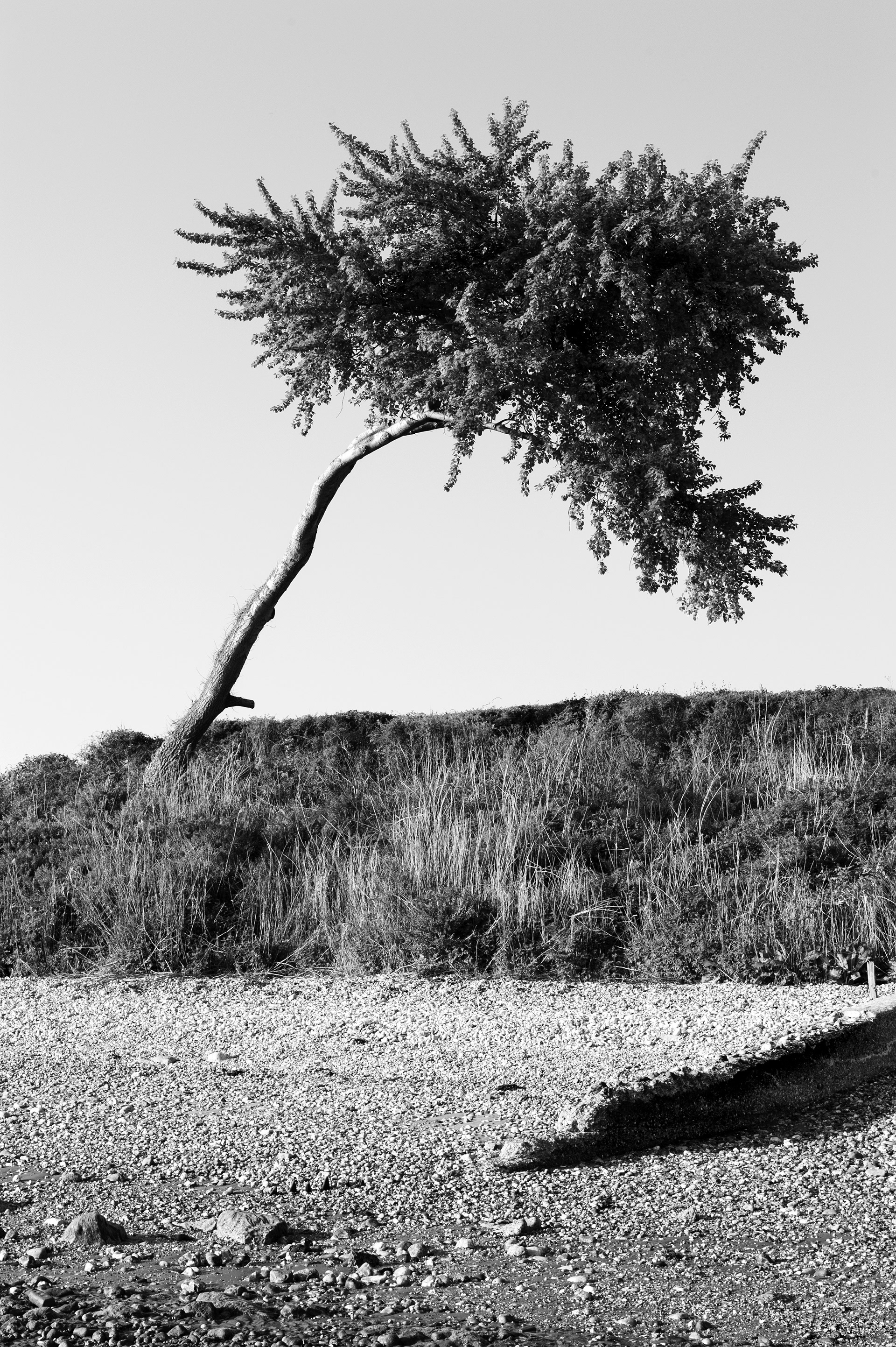 Four Corners (4). Archival pigment print on Arches 88