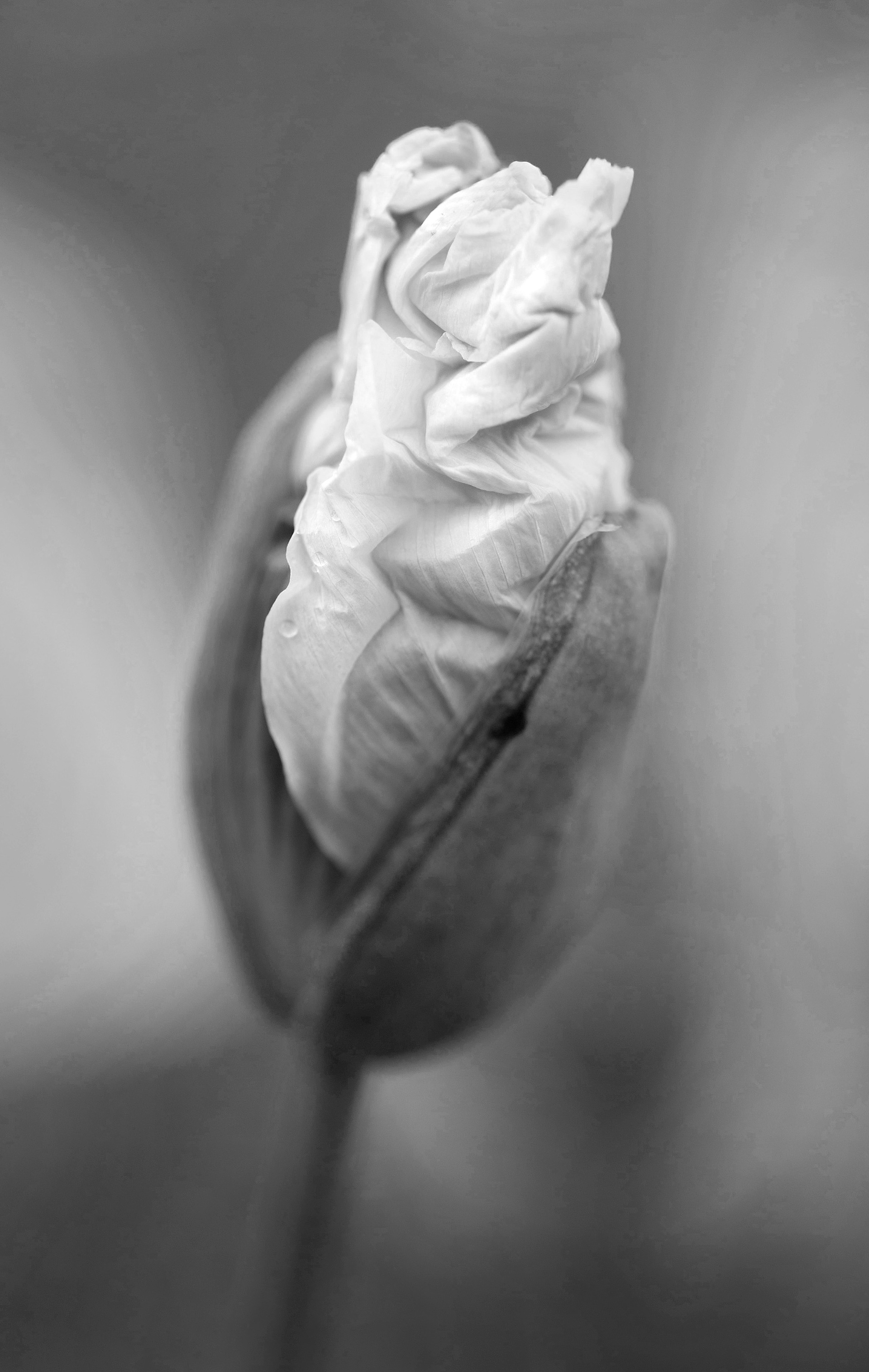 Four Corners (48). Archival pigment print on Arches 88