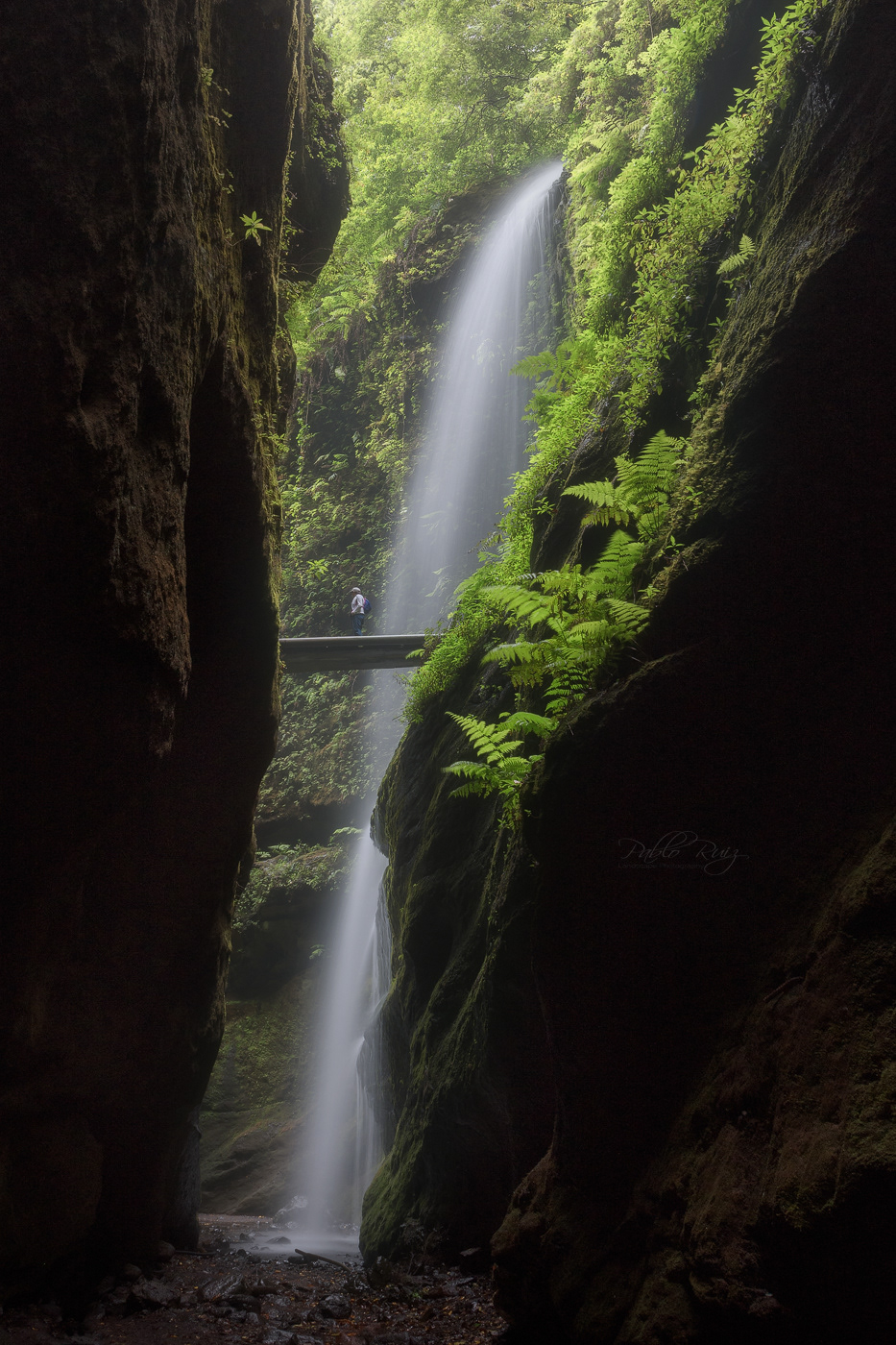 La Palma