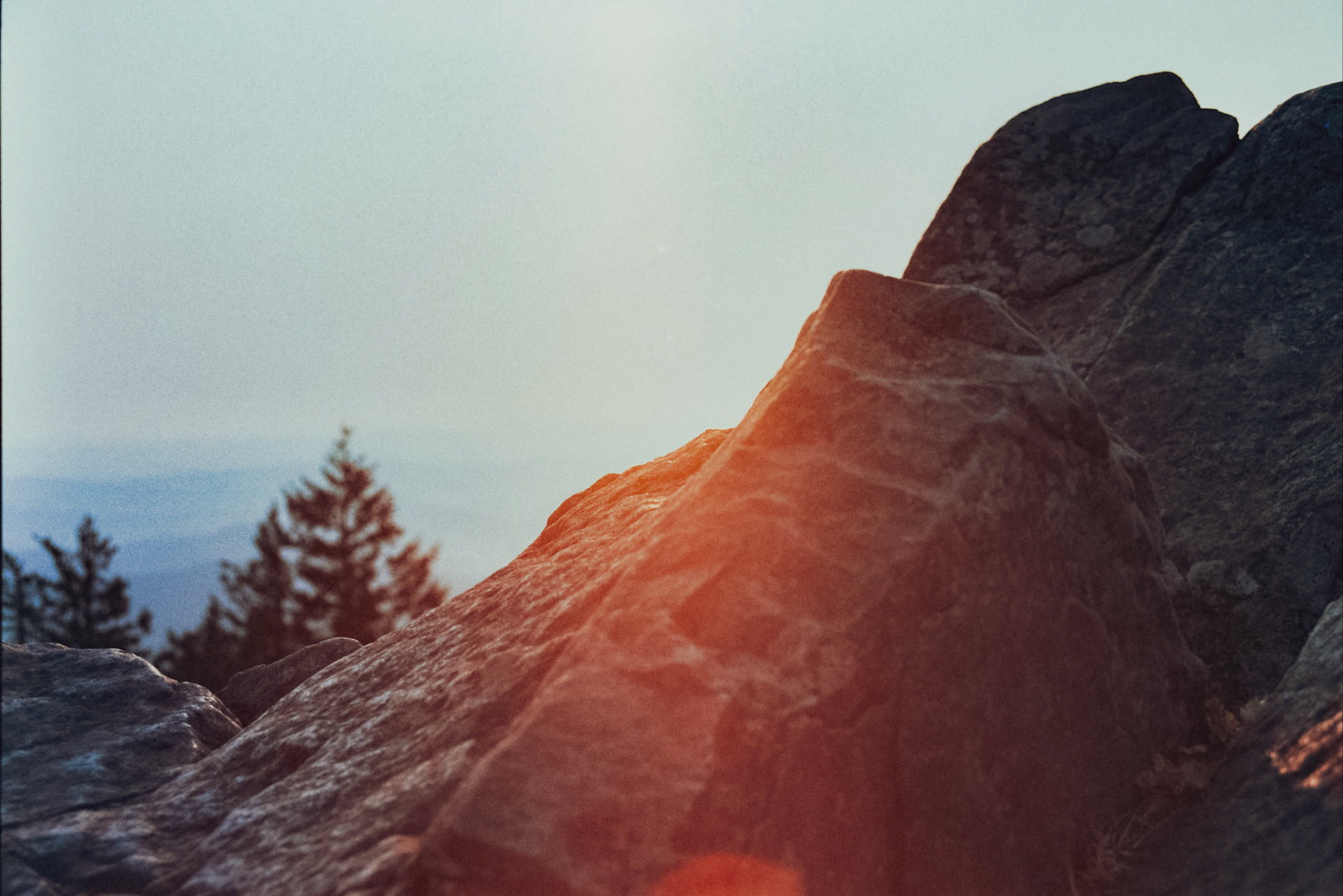 Autosave-File vom d-lab2/3 der AgfaPhoto GmbH