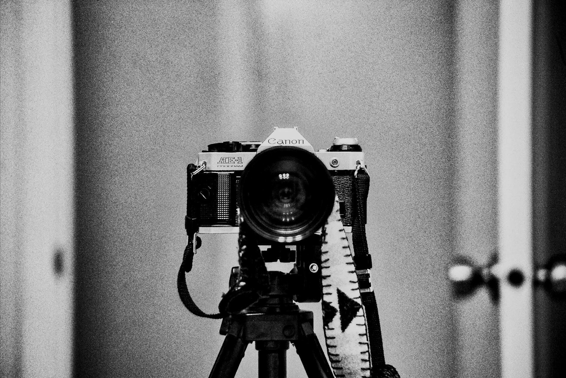 Autosave-File vom d-lab2/3 der AgfaPhoto GmbH