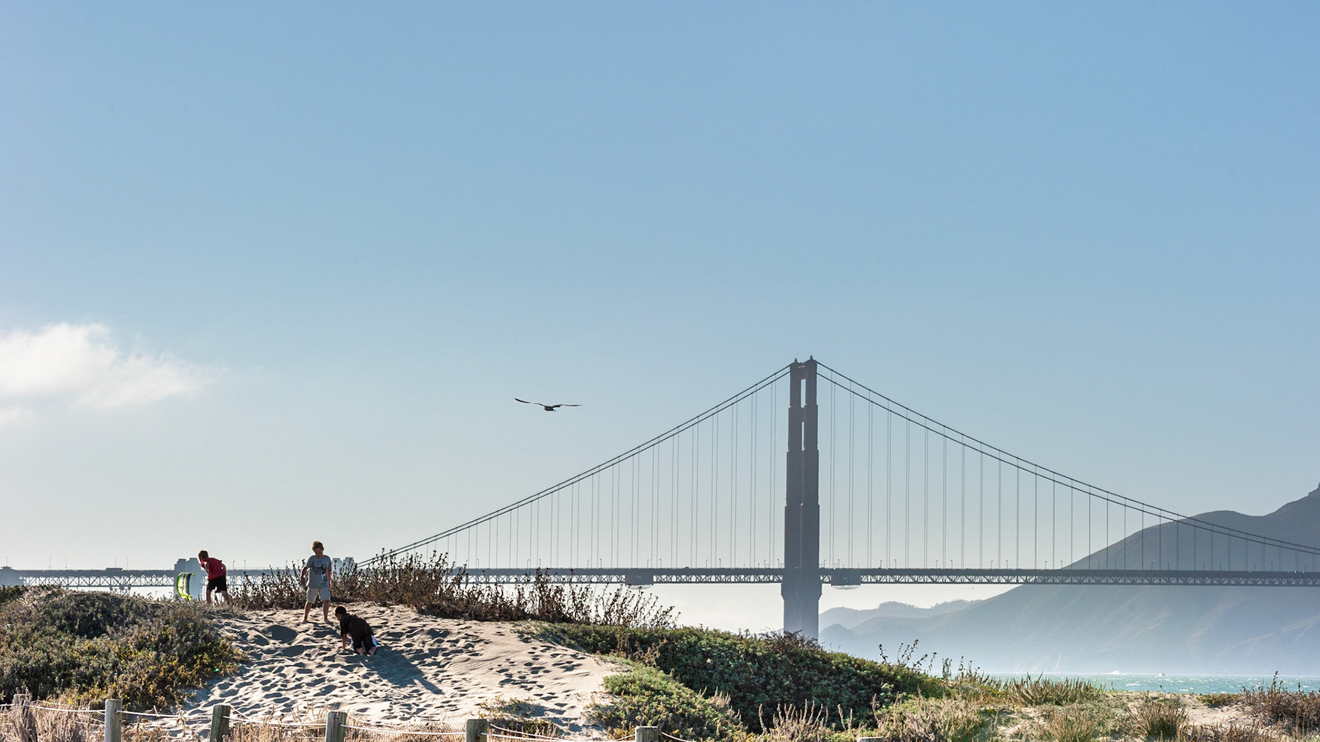 Crissy Field, San Francisco, 2010