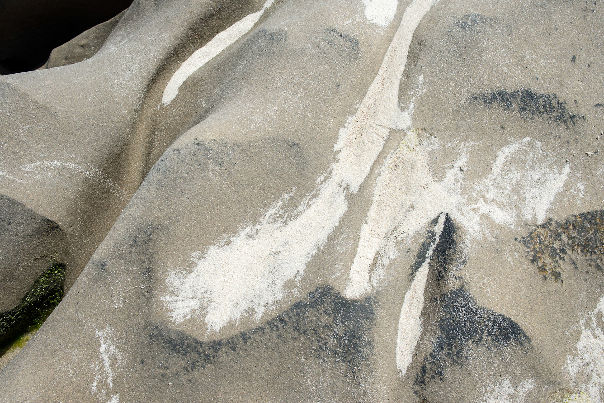 La Jolla Coastal Rock Study 28, 2016