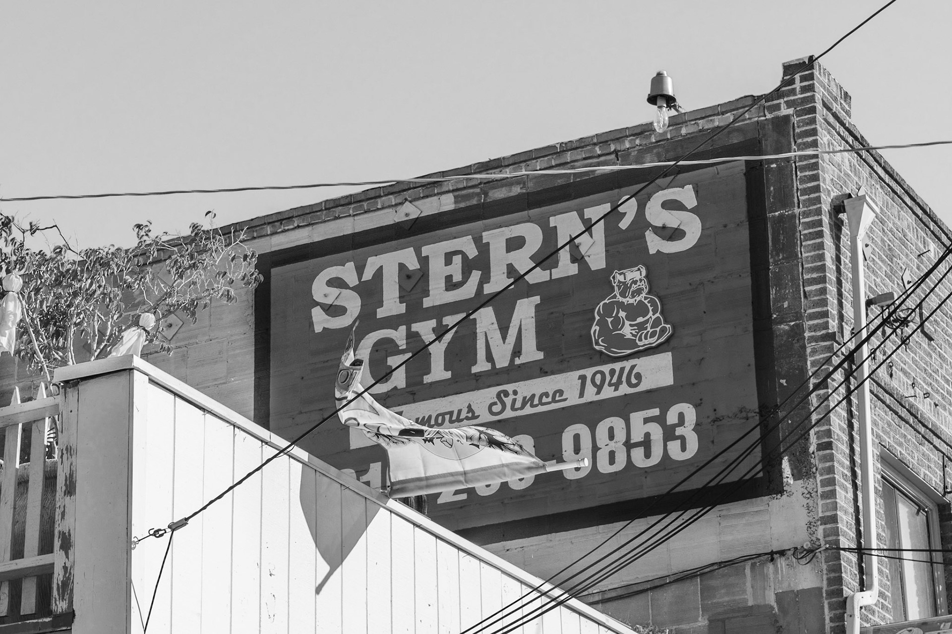 Stern's Gym, North Park, 2018