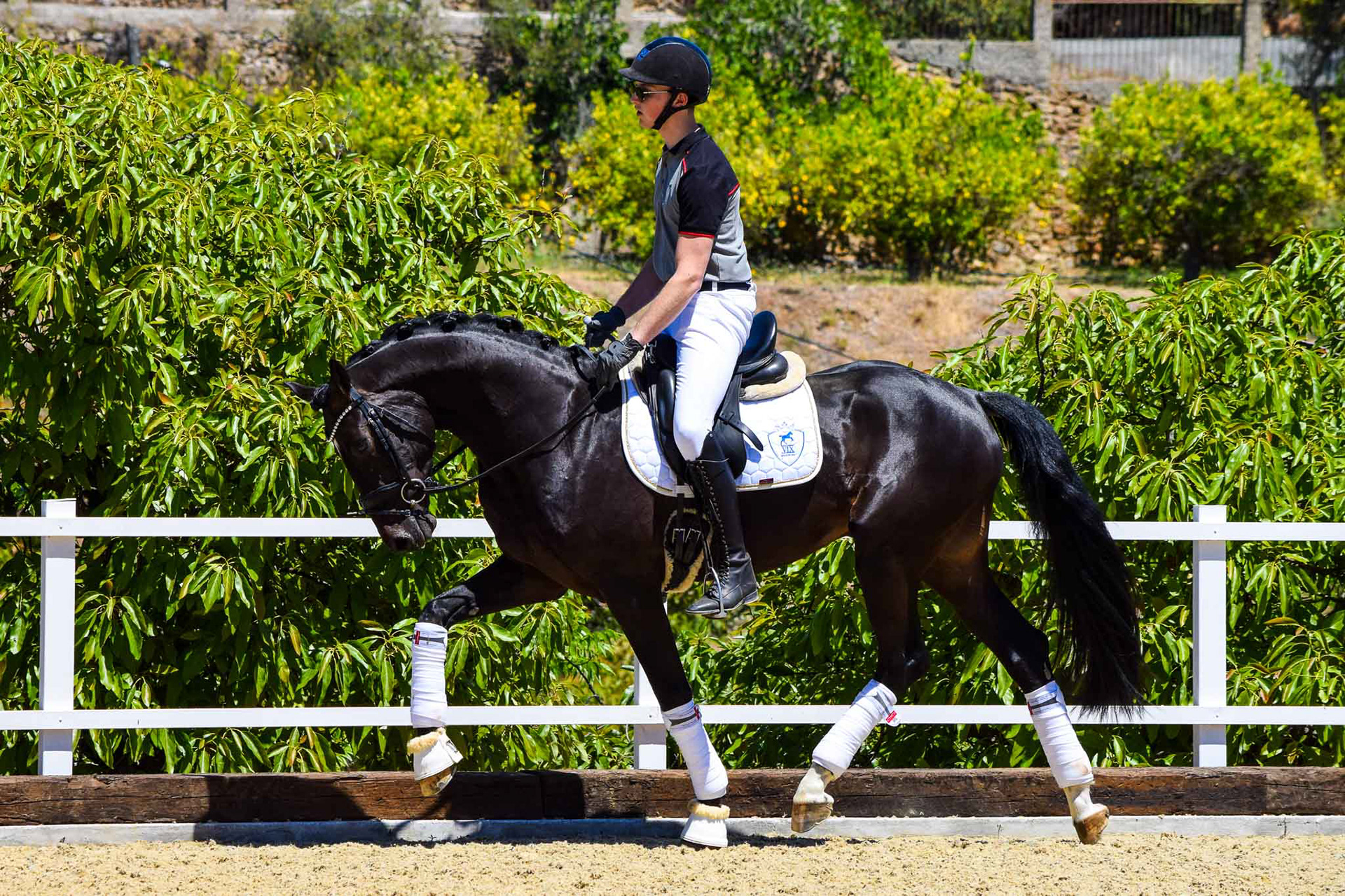New Dressage Center in Andalusia