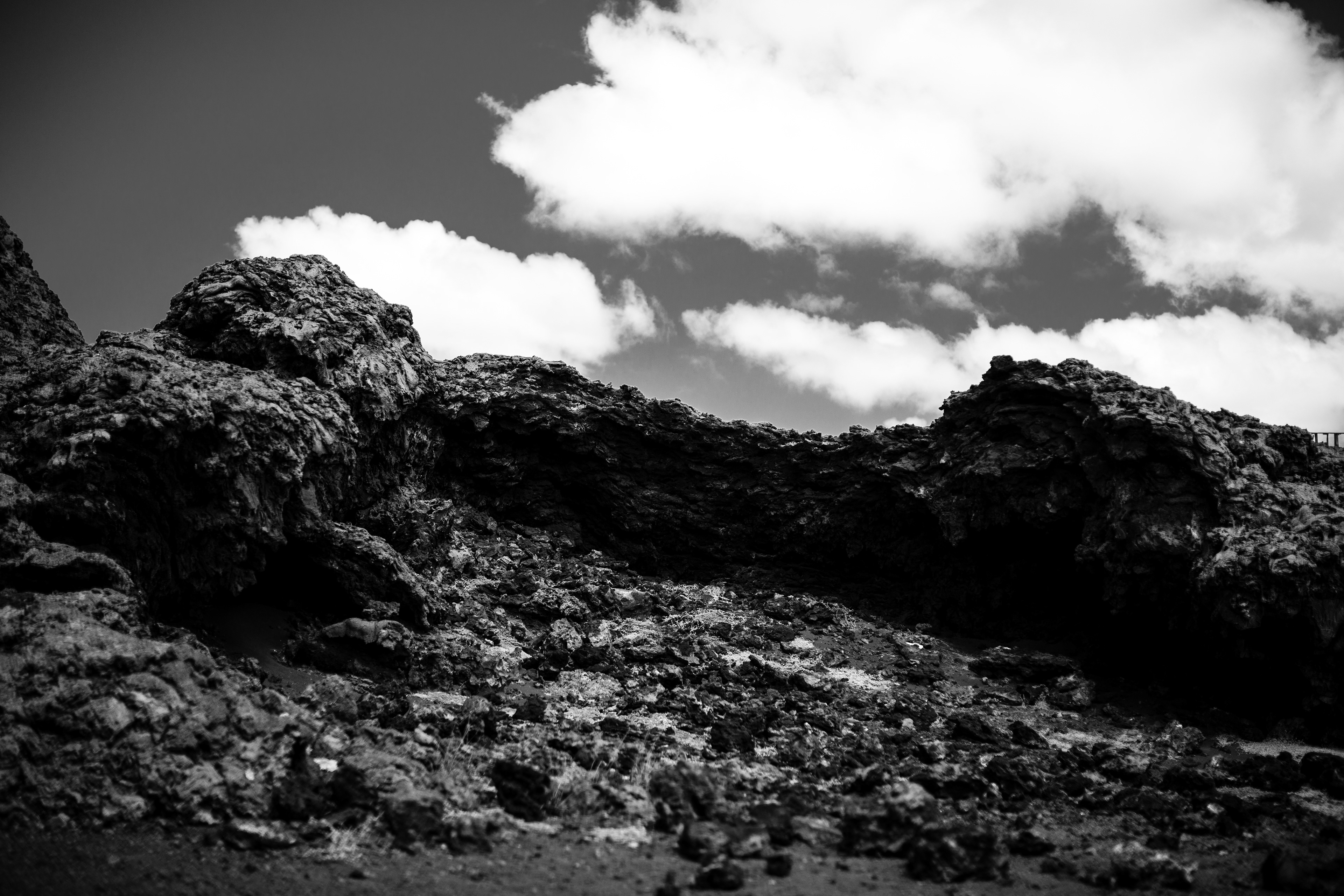 Galápagos Islands, Ecuador / 2017