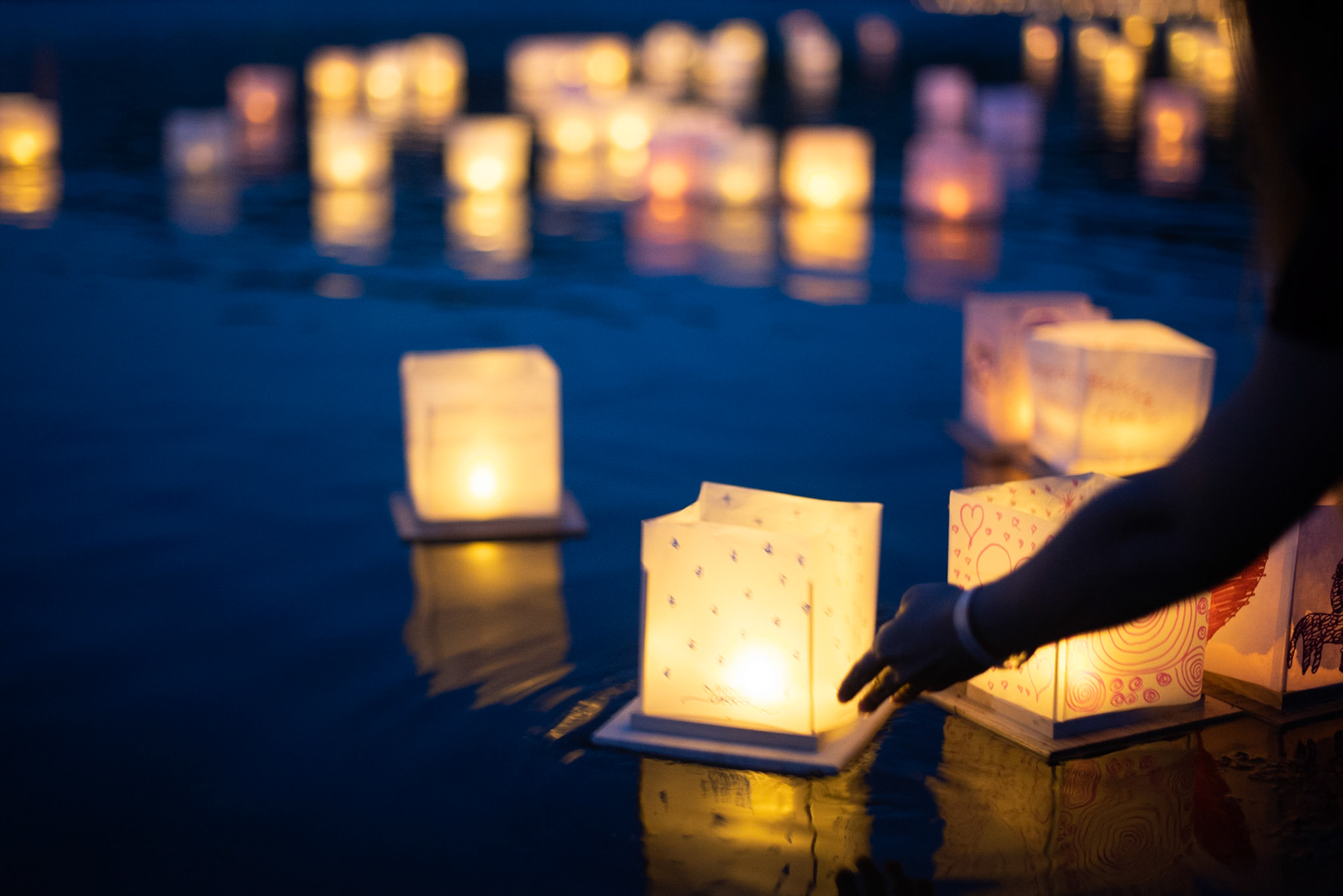 Vivid Corvid Photography Water Lanterns