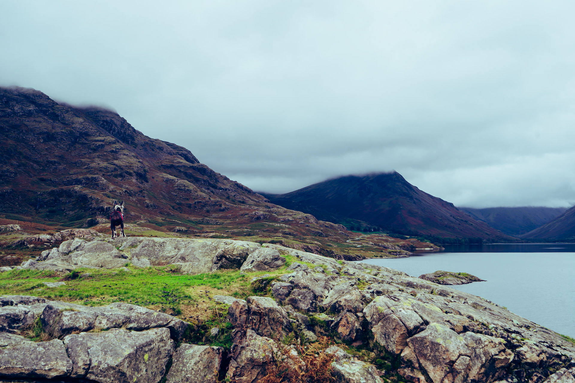 A beautiful landscape shot of Wastwater in the Lake District, England, UK