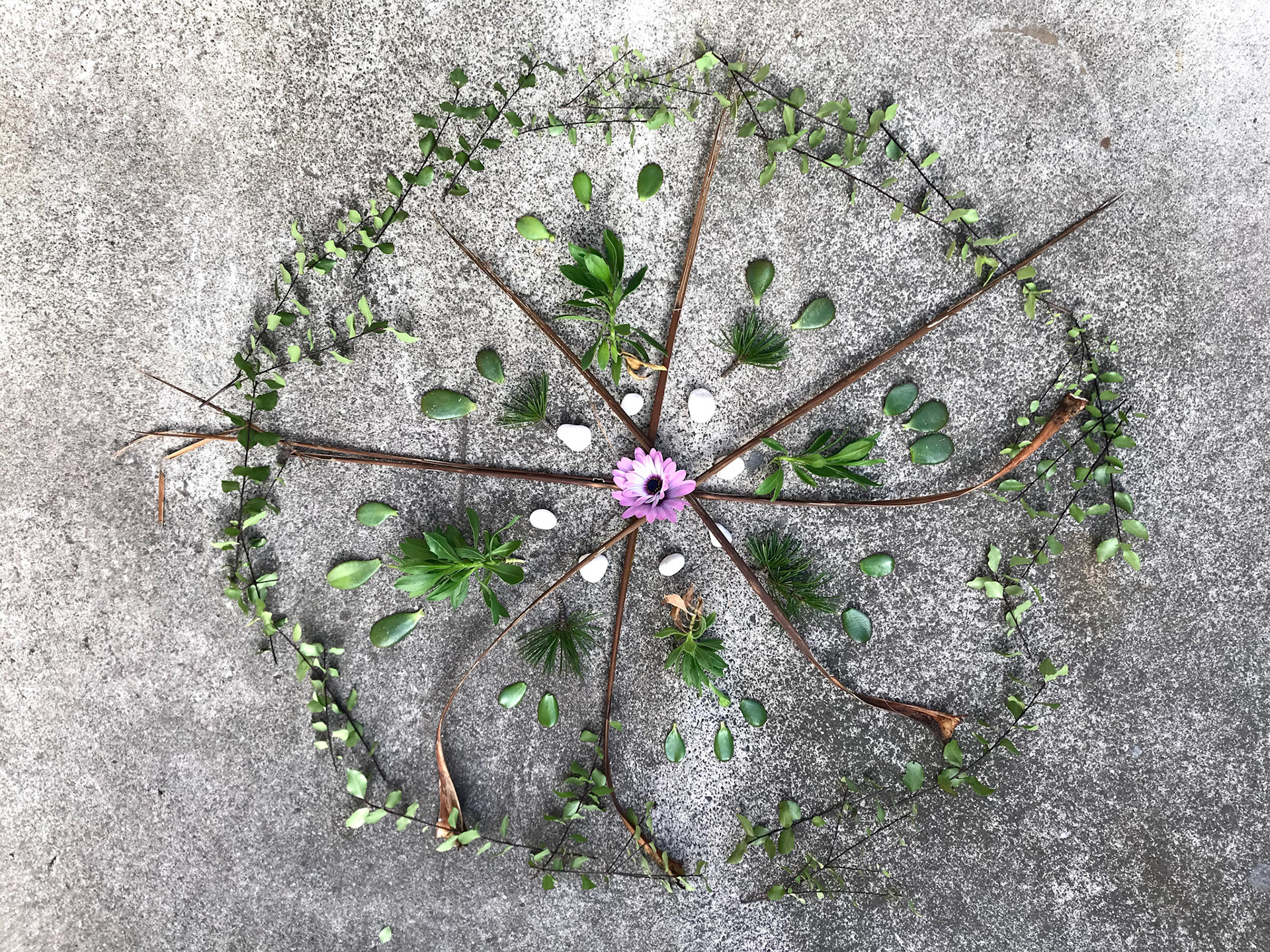 Danika's garden art