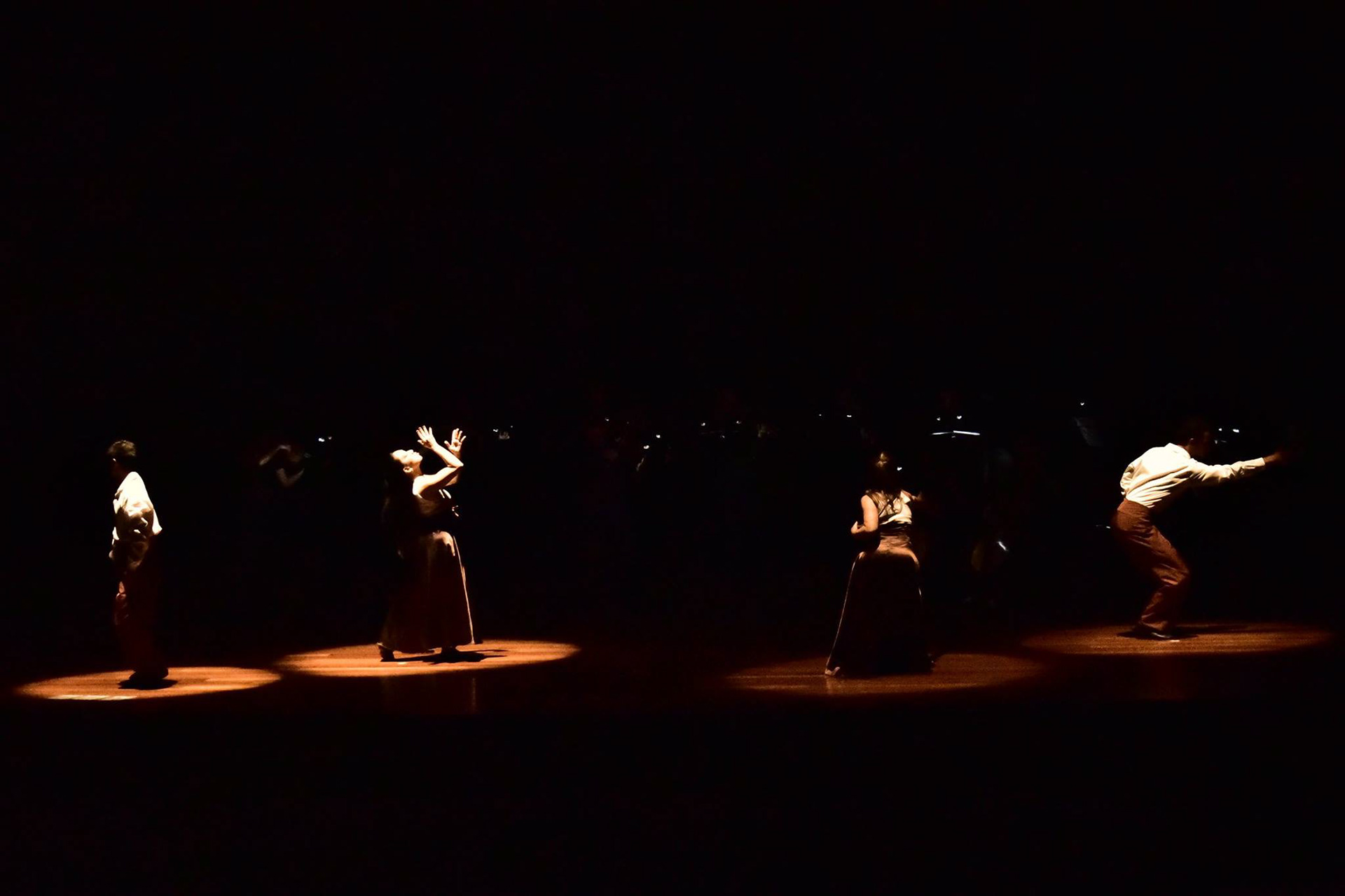 Espetáculo de dança & Orquestra Barroca 2015 - SP