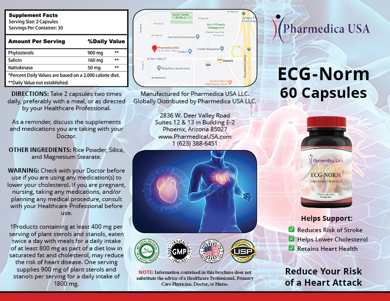 ECG-Norm Side A