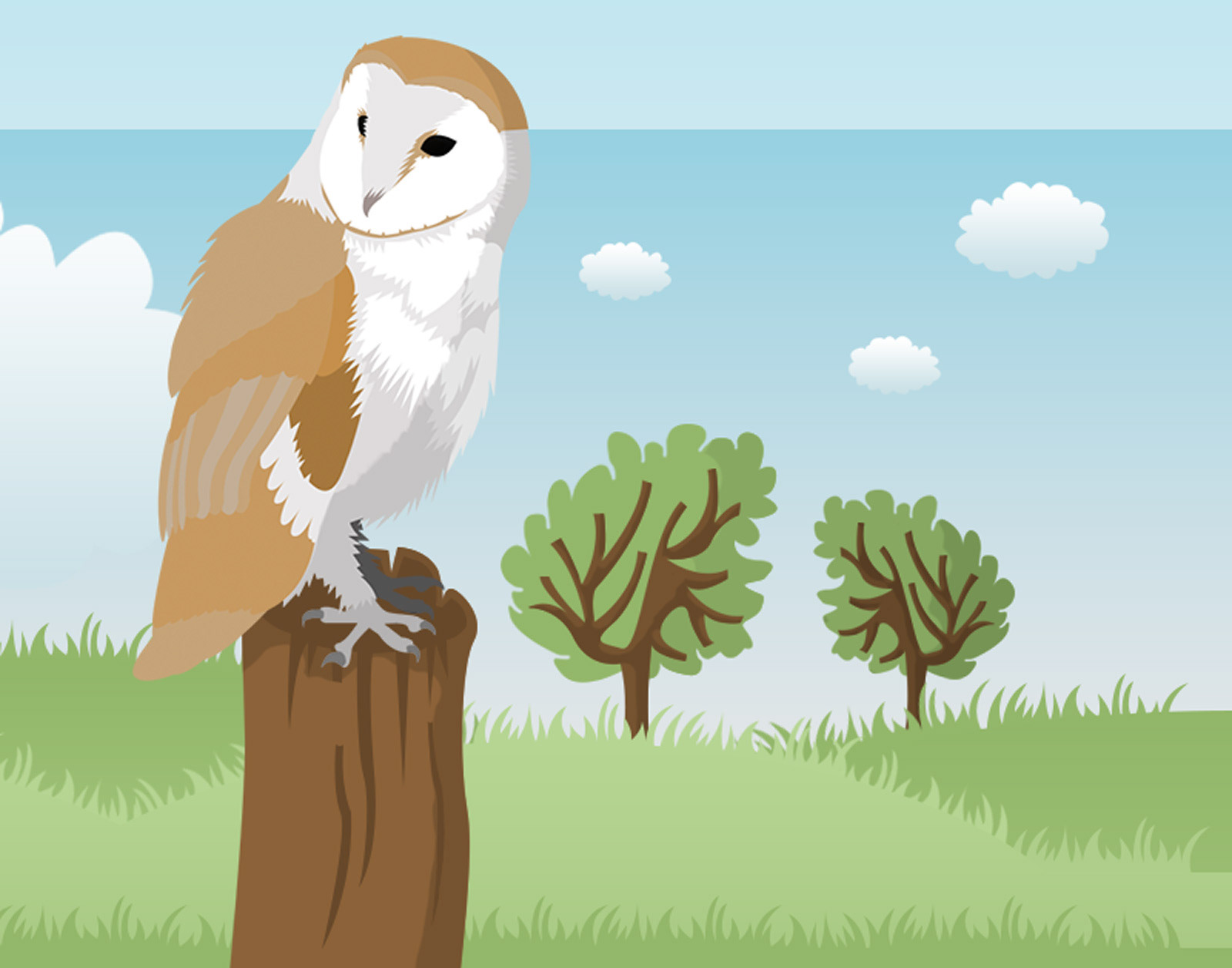 Illustrator and Graphic Designer - Taggart Designs - Barn Owl