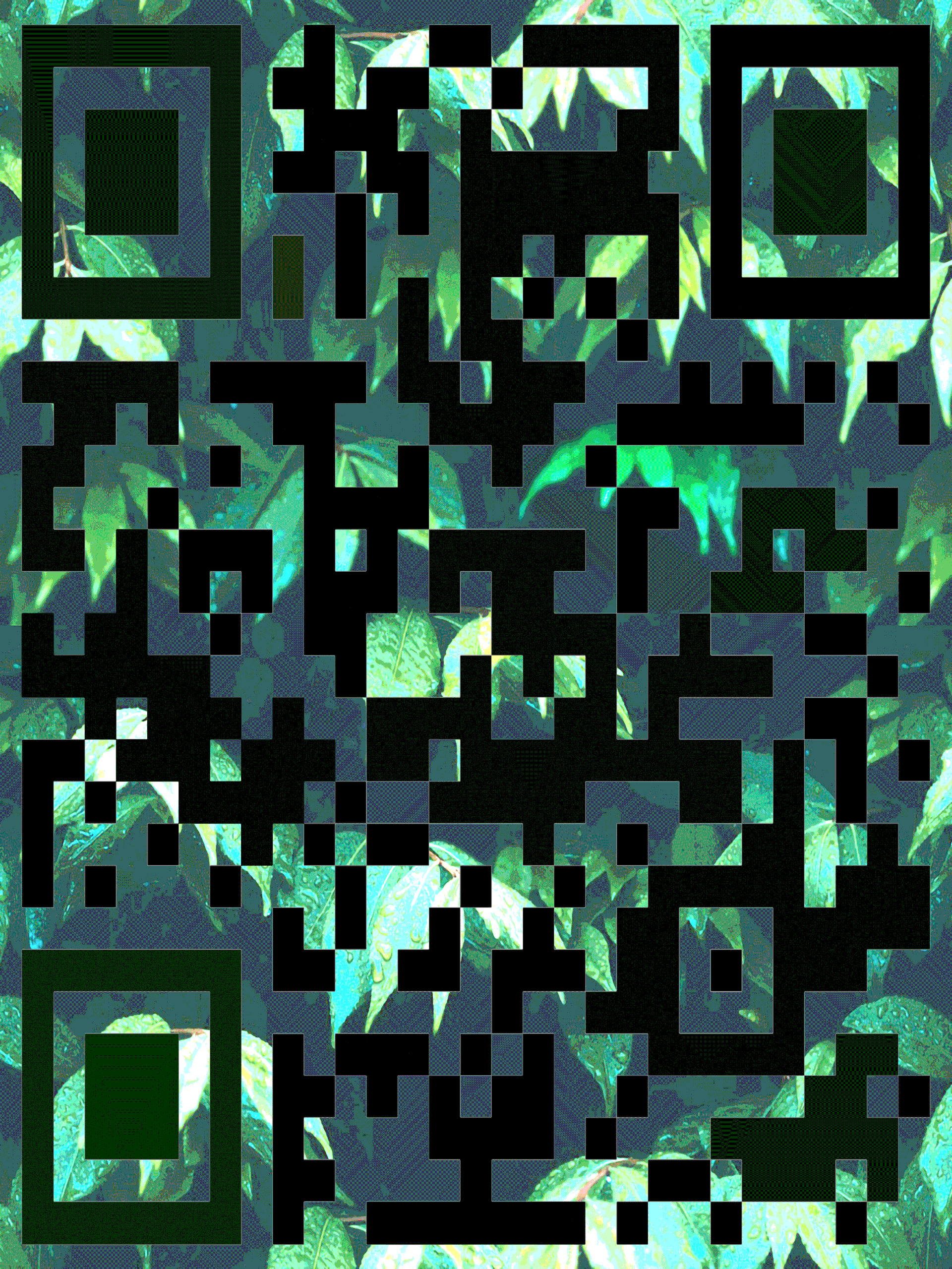 Java (2020)