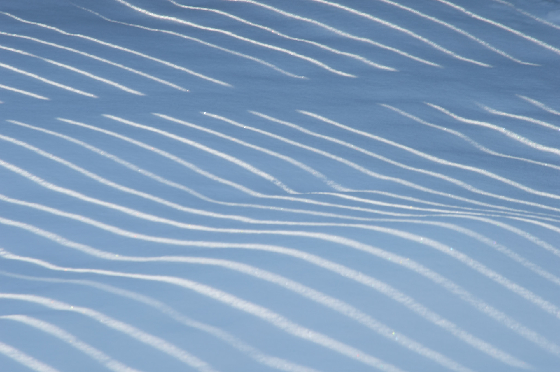 Shadows on a snow covered field cast by the late afternoon sun through a fence.