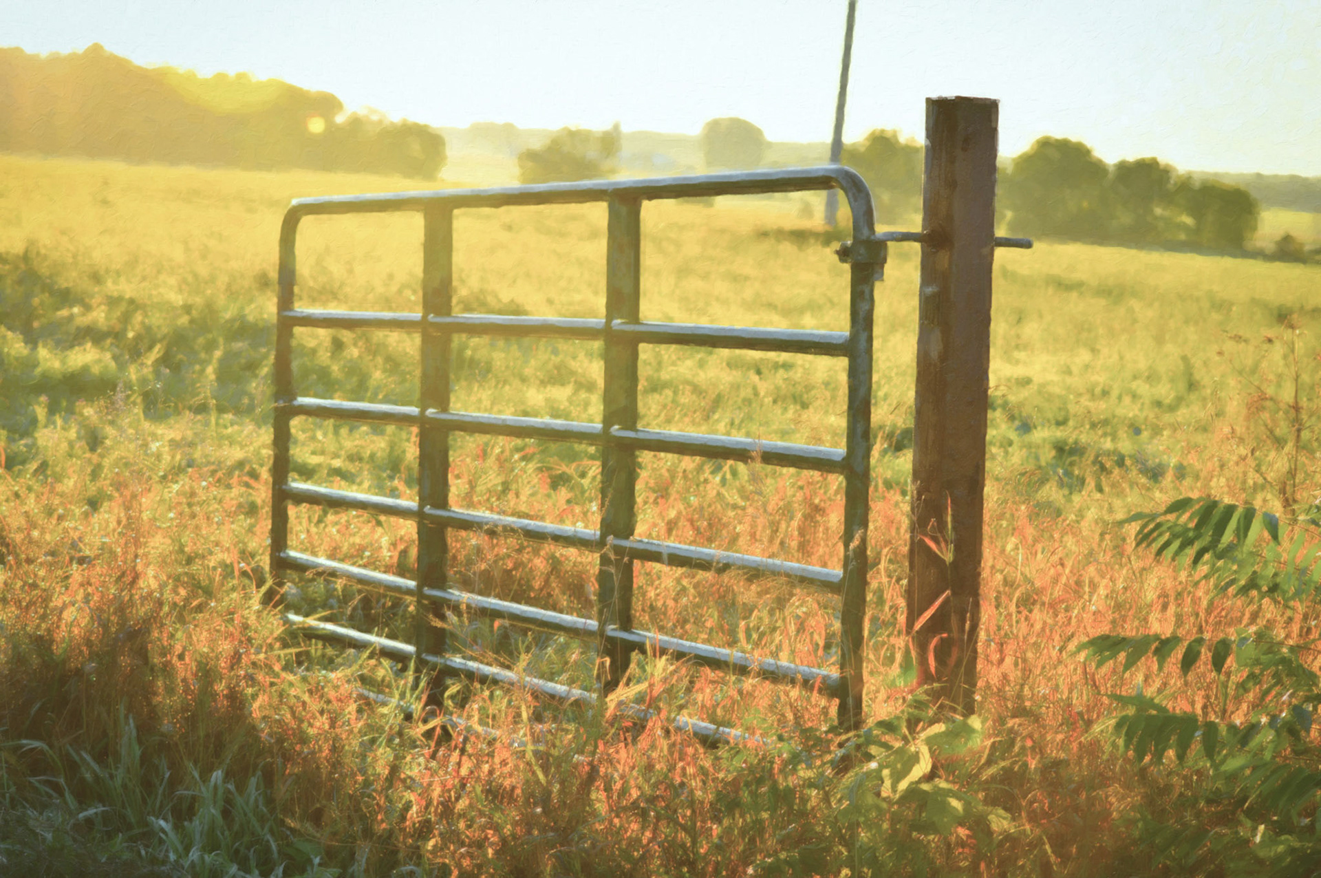 An open field gate at dawn with some fun effects