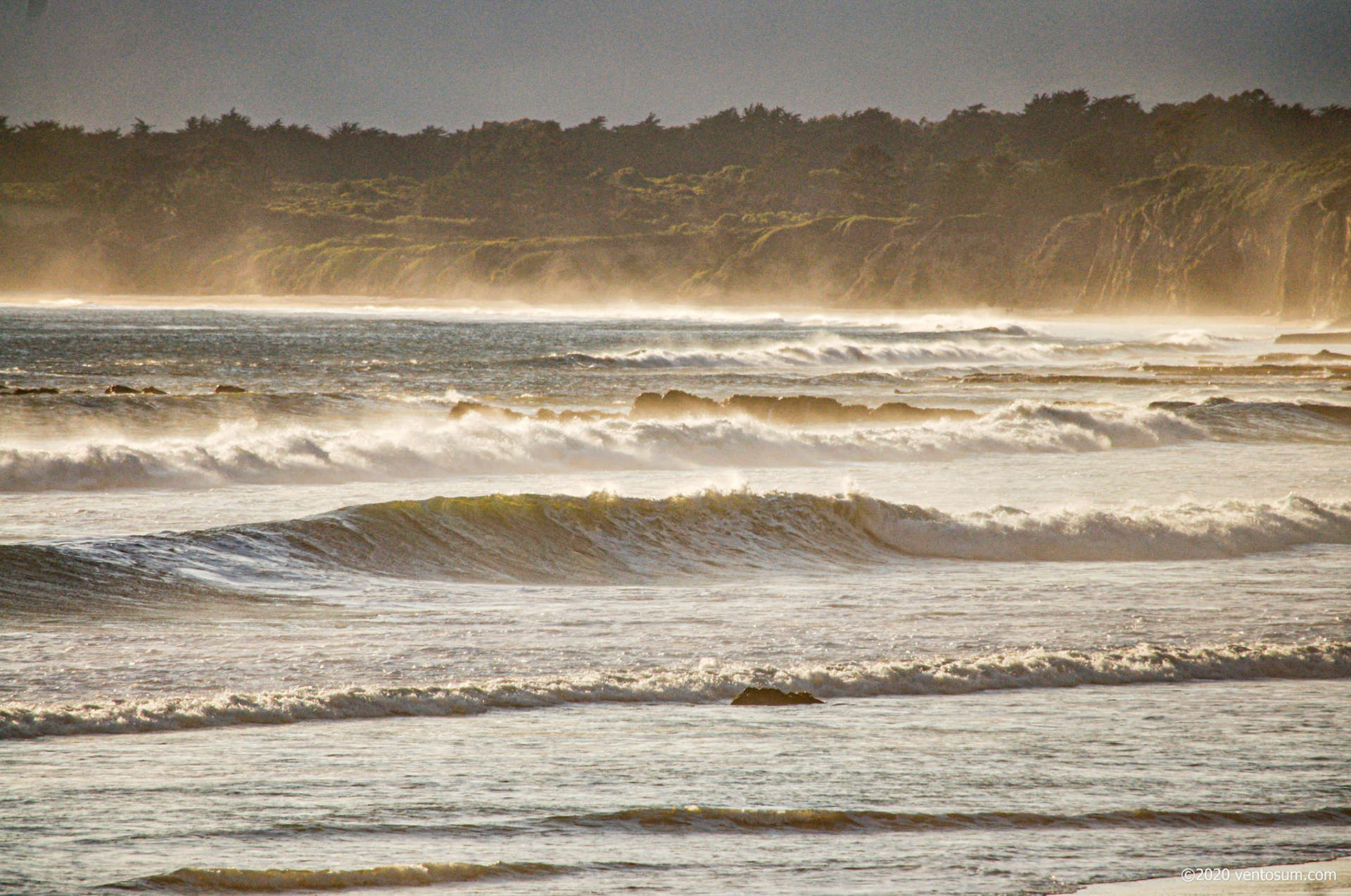 Waddell Creek, Santa Cruz, California, United States