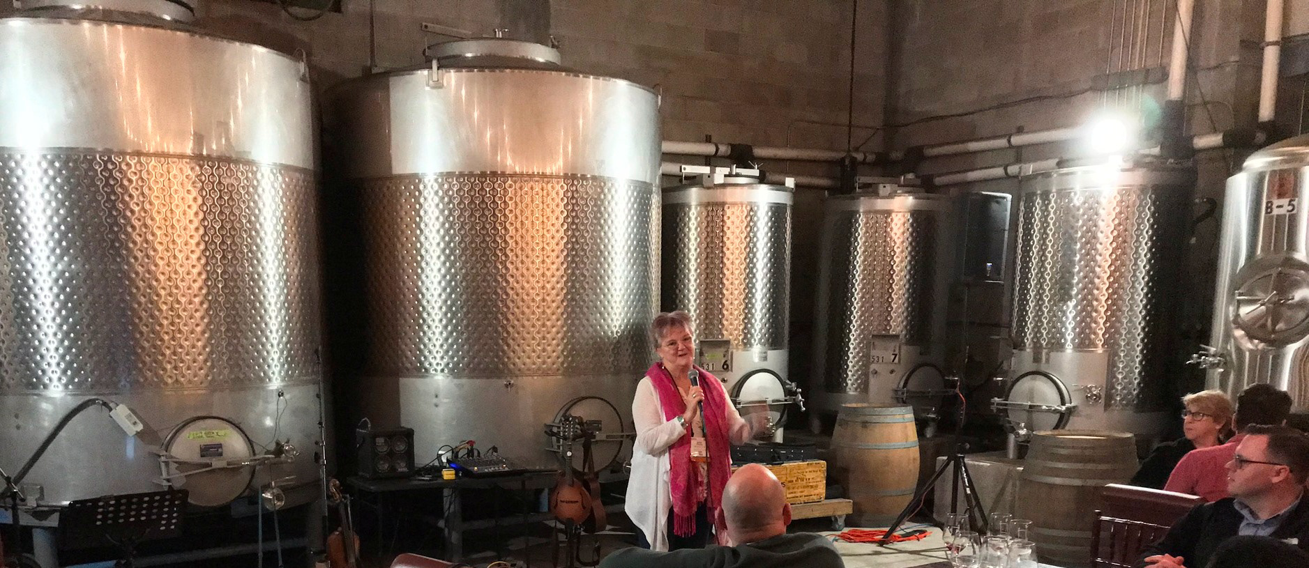 Anne making the connection between poetry, learning and wine at Innovations in Training at Quantum Leap Winery