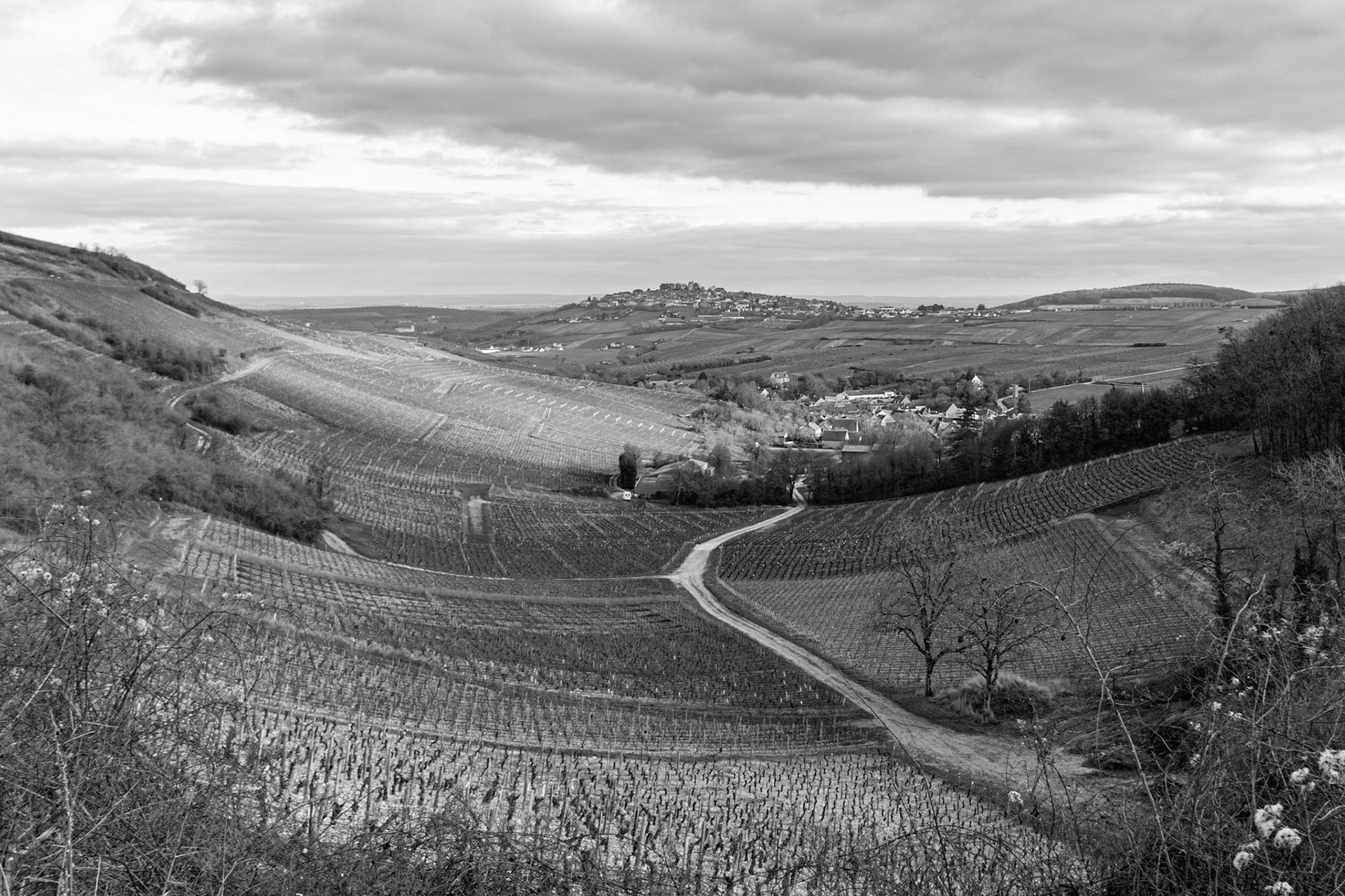 Chavignol, Sancerre