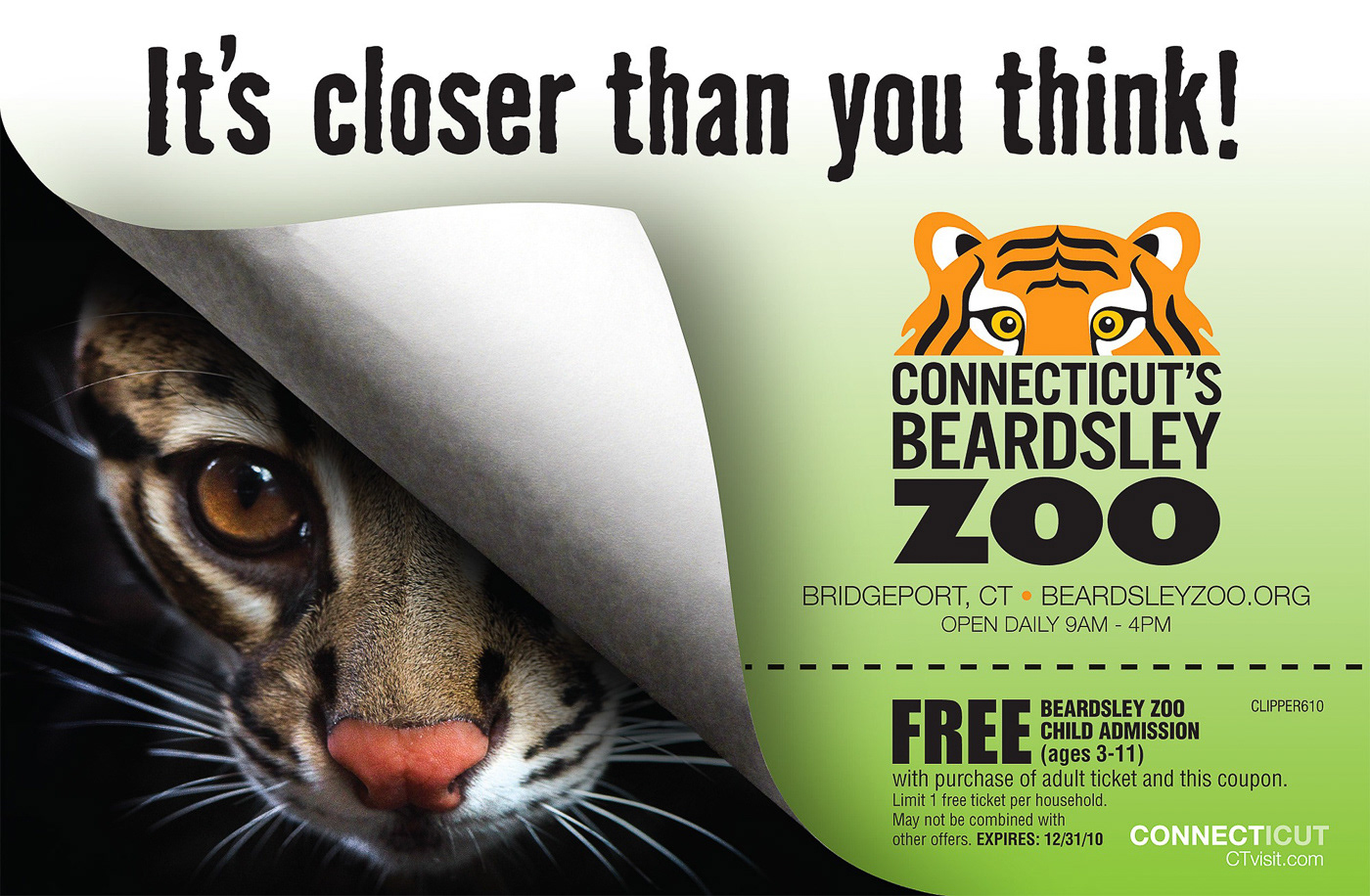 Ocelot Ad