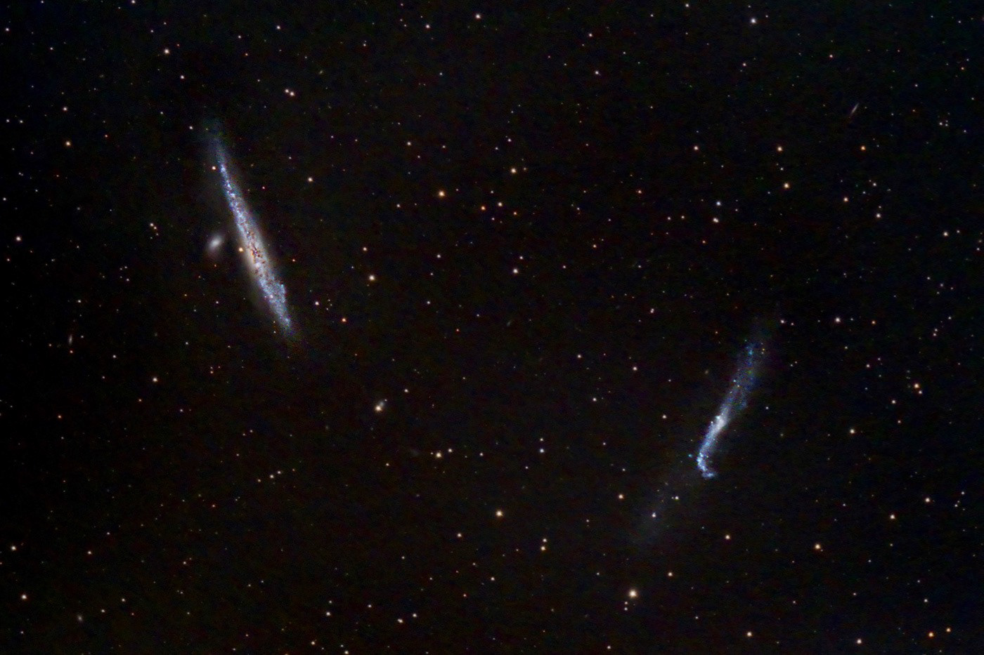 The Whale and the Hockey Stick