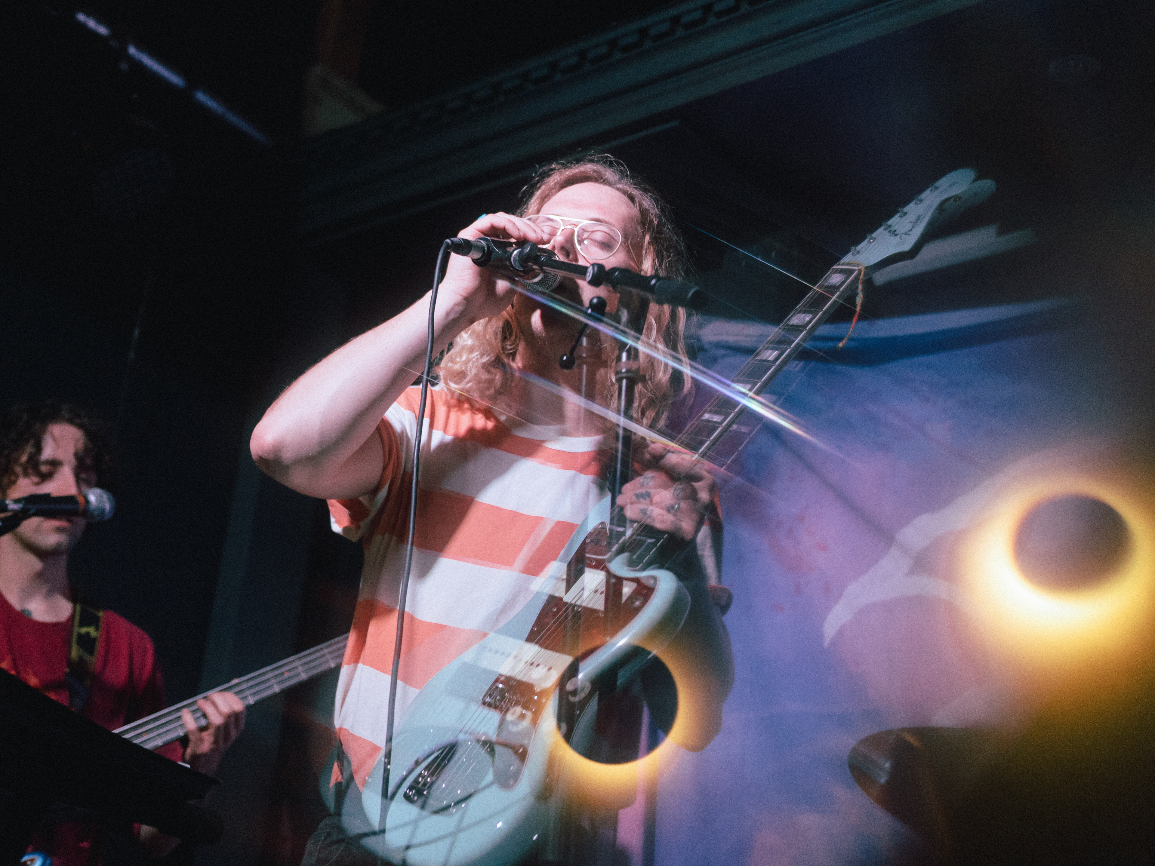 Fauna Manchester, September 2021
