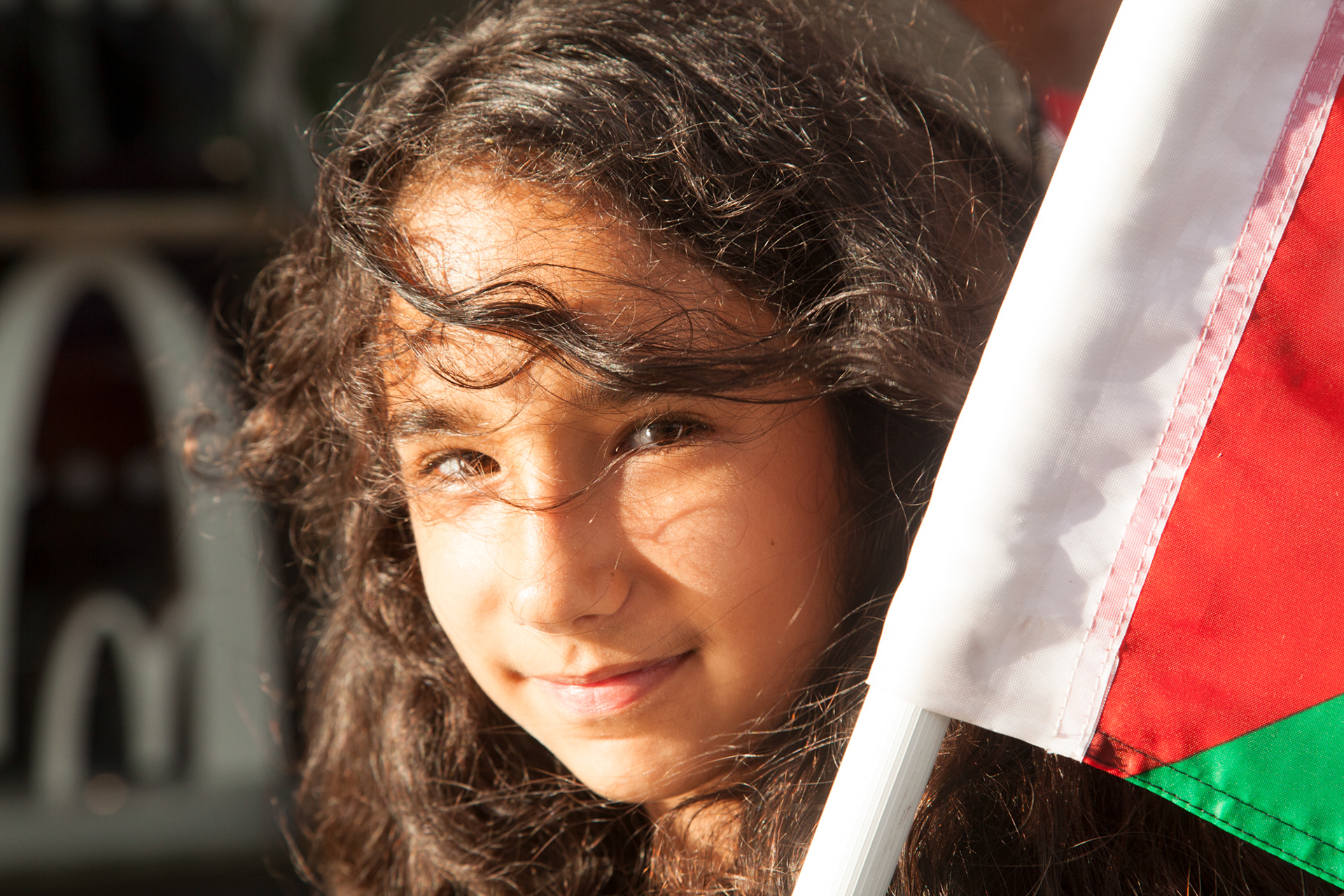 Palestine protests; Middlesbrough Summer 2014