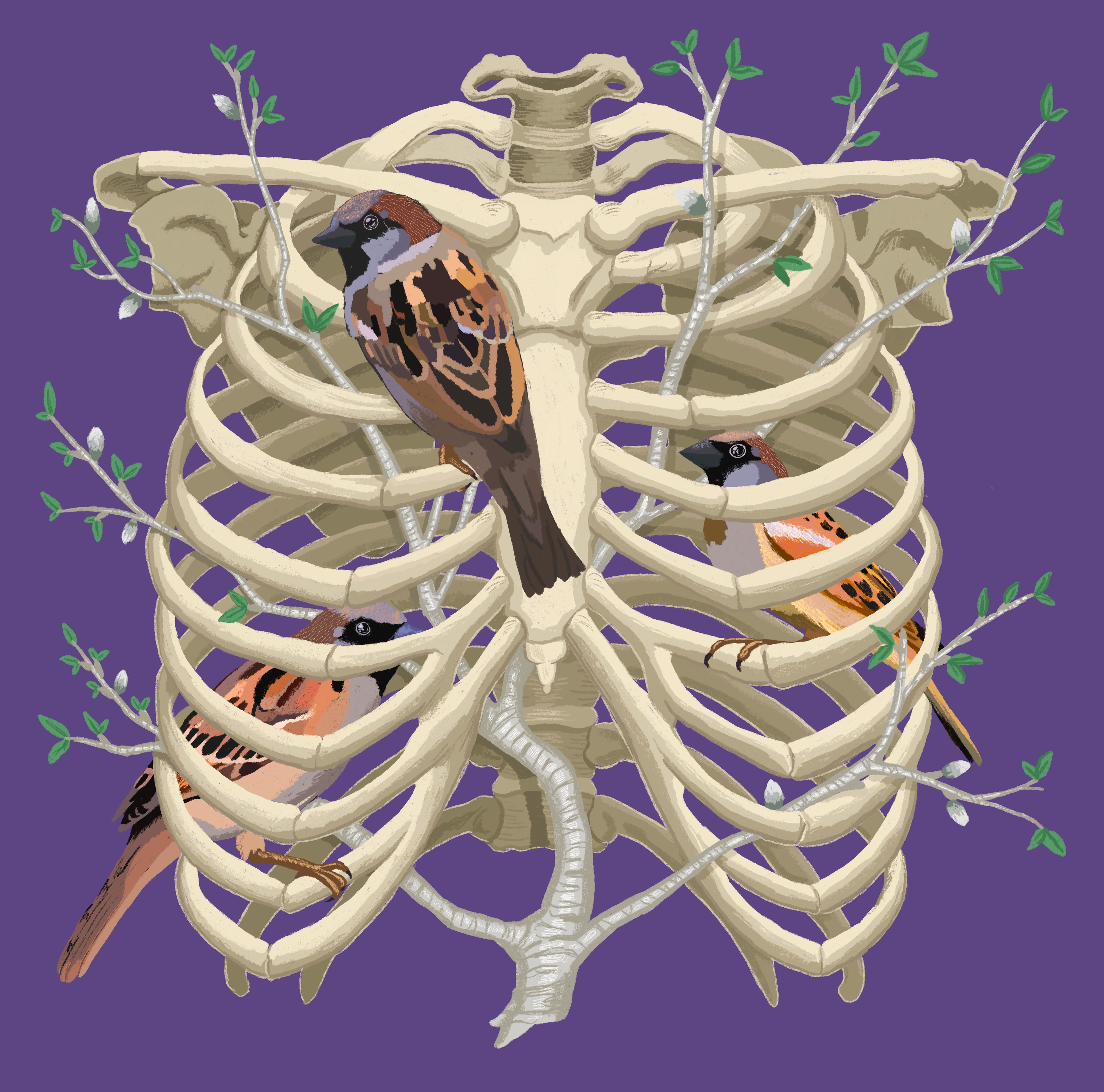 Lost in my own Damn Bones, Julie Kitzes, 2021